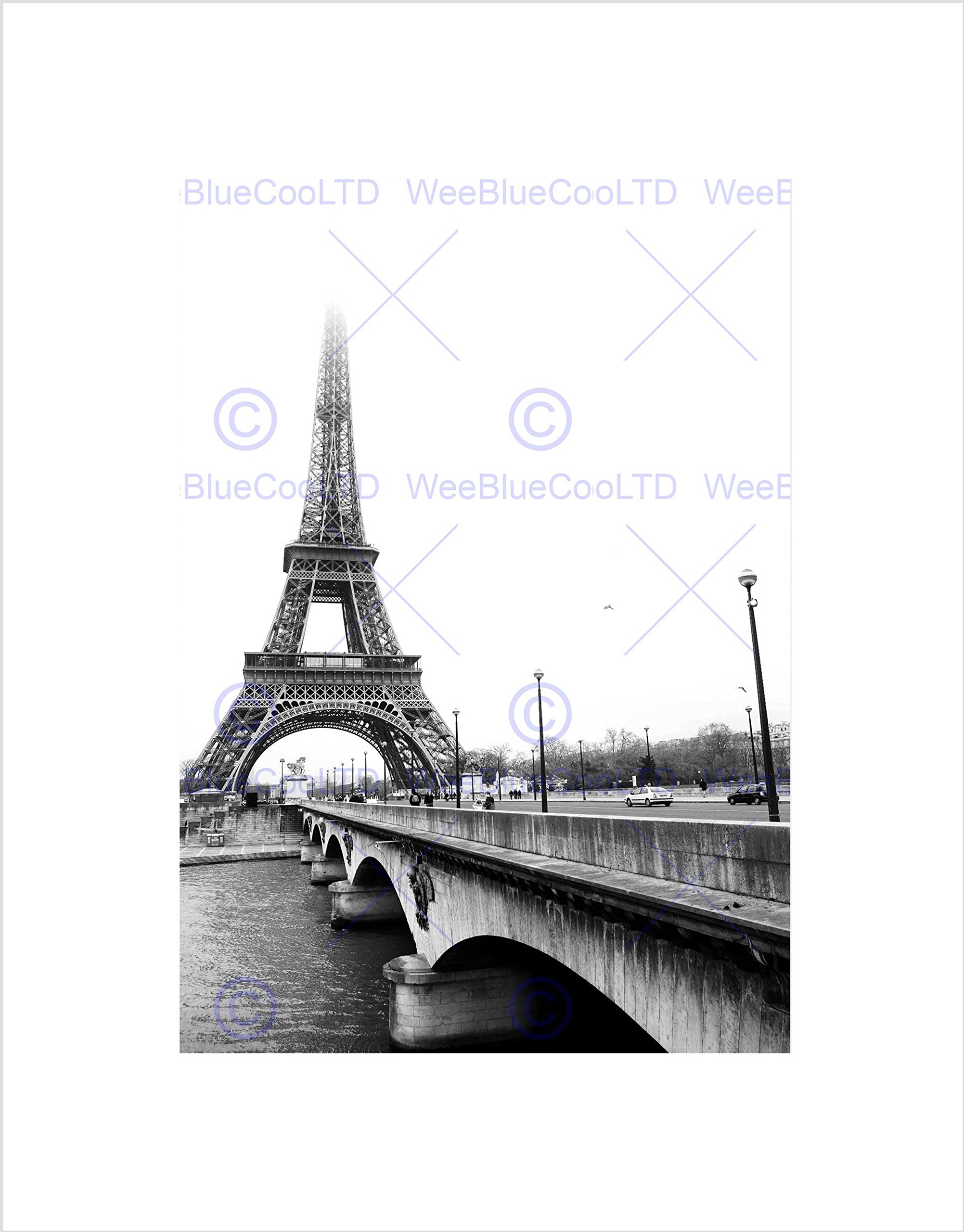 Wee Blue Coo Landmark Eiffel Tower Paris France Misty Black White Wall Art Print
