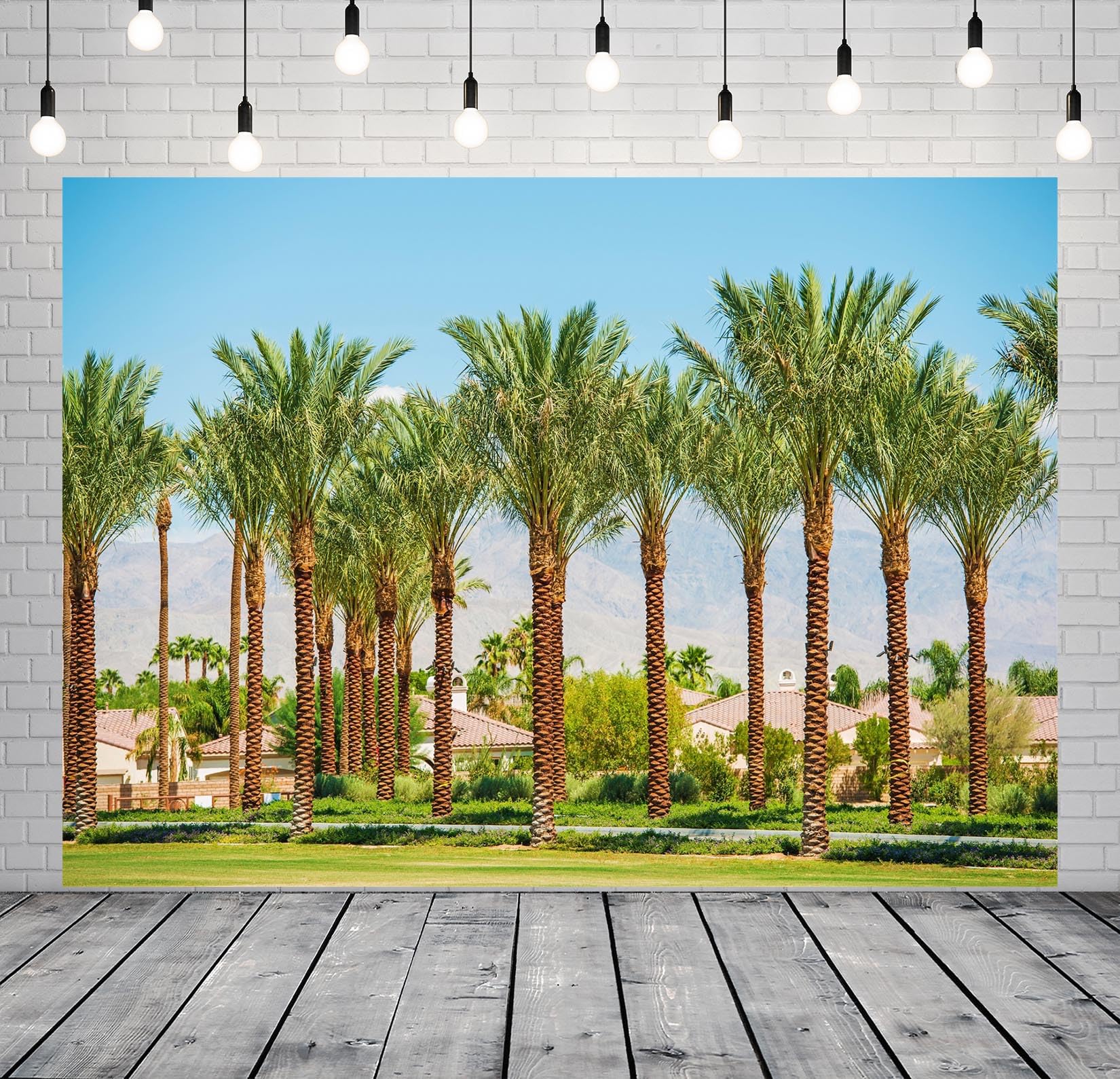 BELECO 3x2.5m Telo sfondo palme valle California | Strade case Palm Springs cielo blu palme dattero sfondo decorazione festa Coachella accessori foto