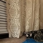 Review Image by CA Hodge CA Hodge