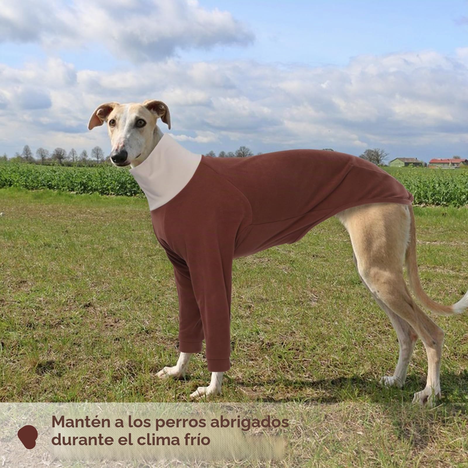 Jersey de forro polar para perros de galgo, suéter mediano para Whippets, pijama de galgo, camisa de lurcher, pijama de forro polar para perros (marrón, M)