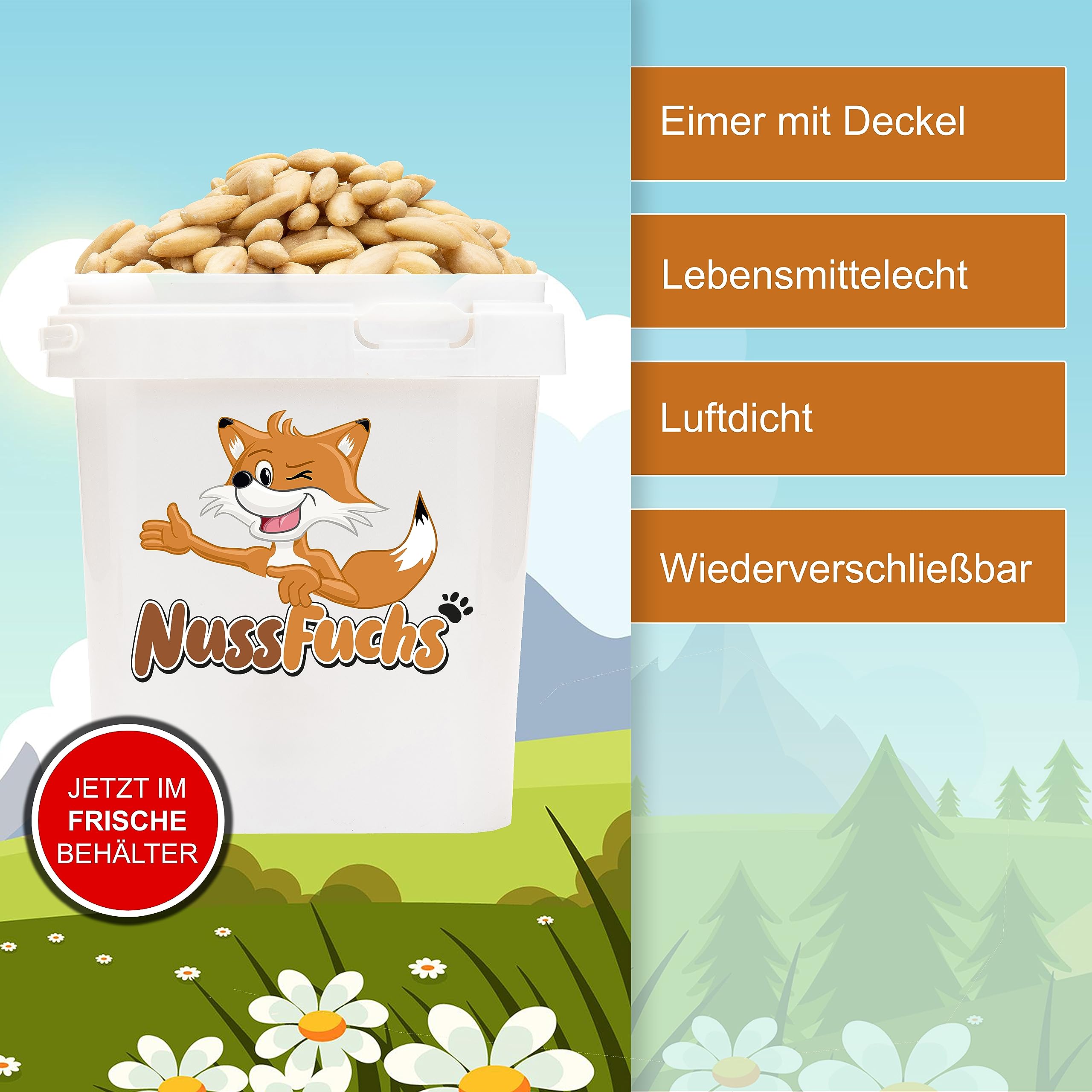 Mandeln blanchiert 3kg im Eimer ganz ungeröstet ungesalzen NussFuchs