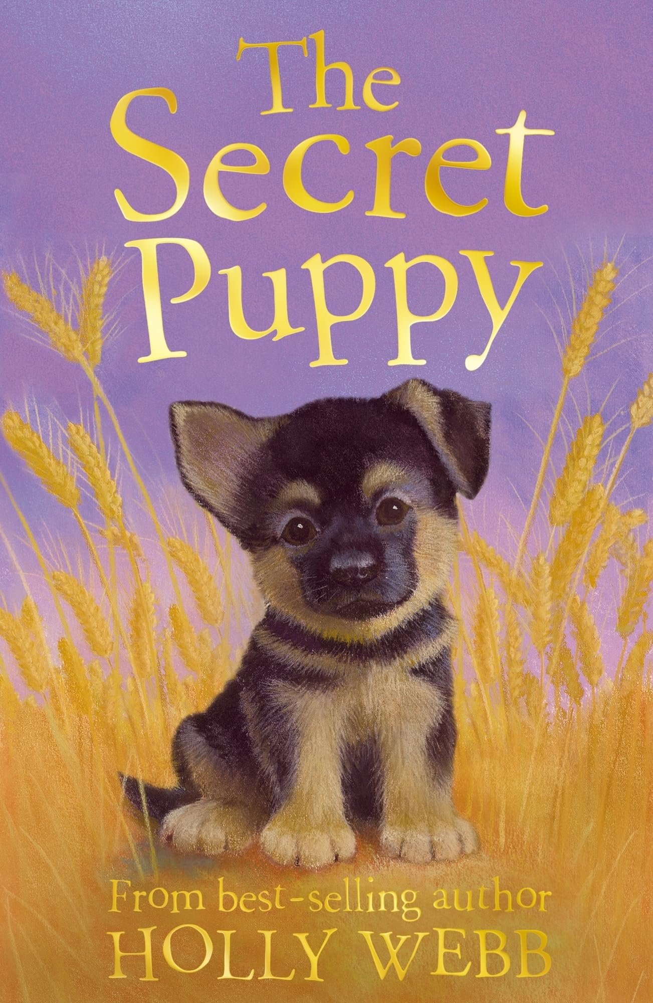 The Secret Puppy: 22 (Holly Webb Animal Stories, 22)