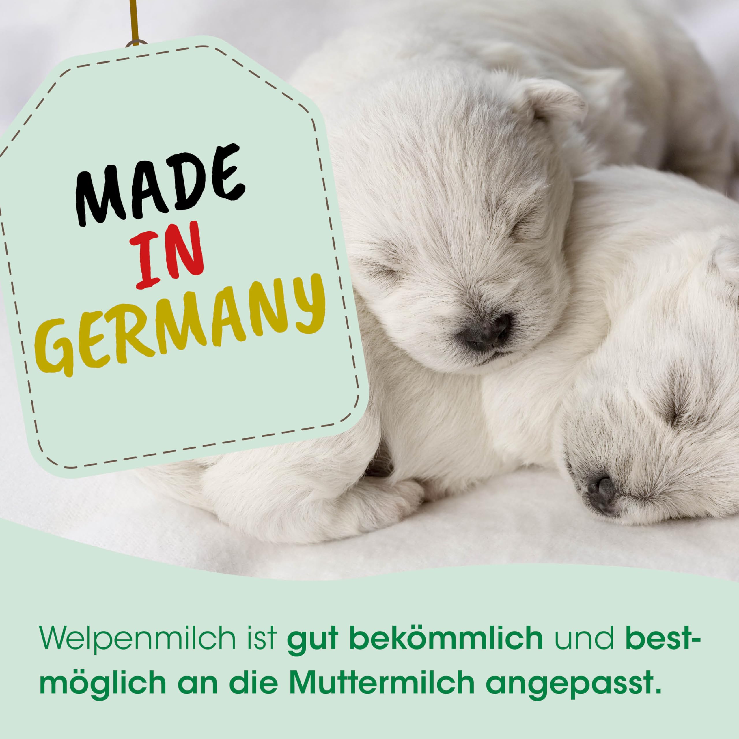 cdVet Naturprodukte Welpenmilch 3 kg - Hund, Katze, Nager - Milchaustausch-Ergänzungsgfuttermittel - Ersatzmilch - Anteil an hochwertigem Kolostrum - stabil bleibende Verdauung - Abwehrkomponenten -