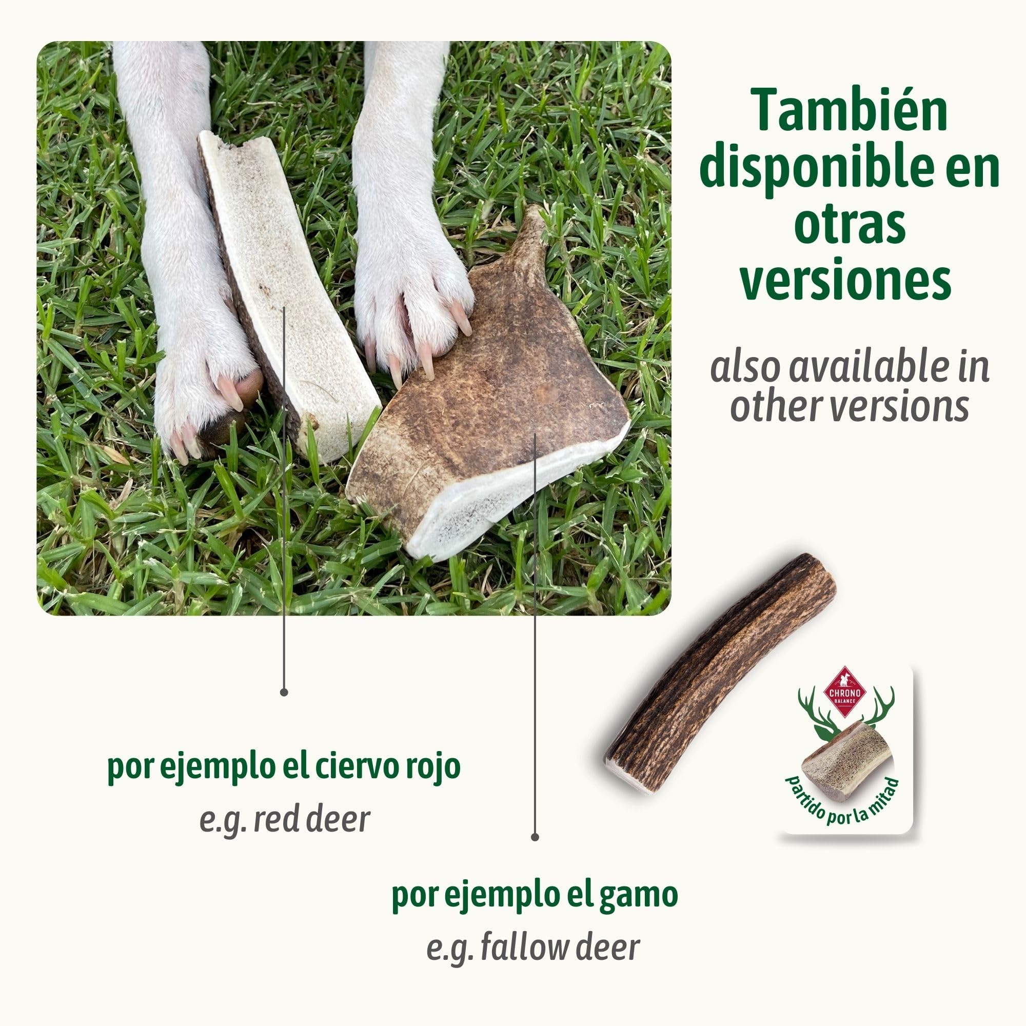 ChronoBalance XL Asta de Ciervo para Perros, 100% Naturales Piezas Enteras, Palillo Masticable, Juguetes para Perros, Tratar Cuidado Dental, Sin Aditivos, Larga Duración, Conjunto de 5