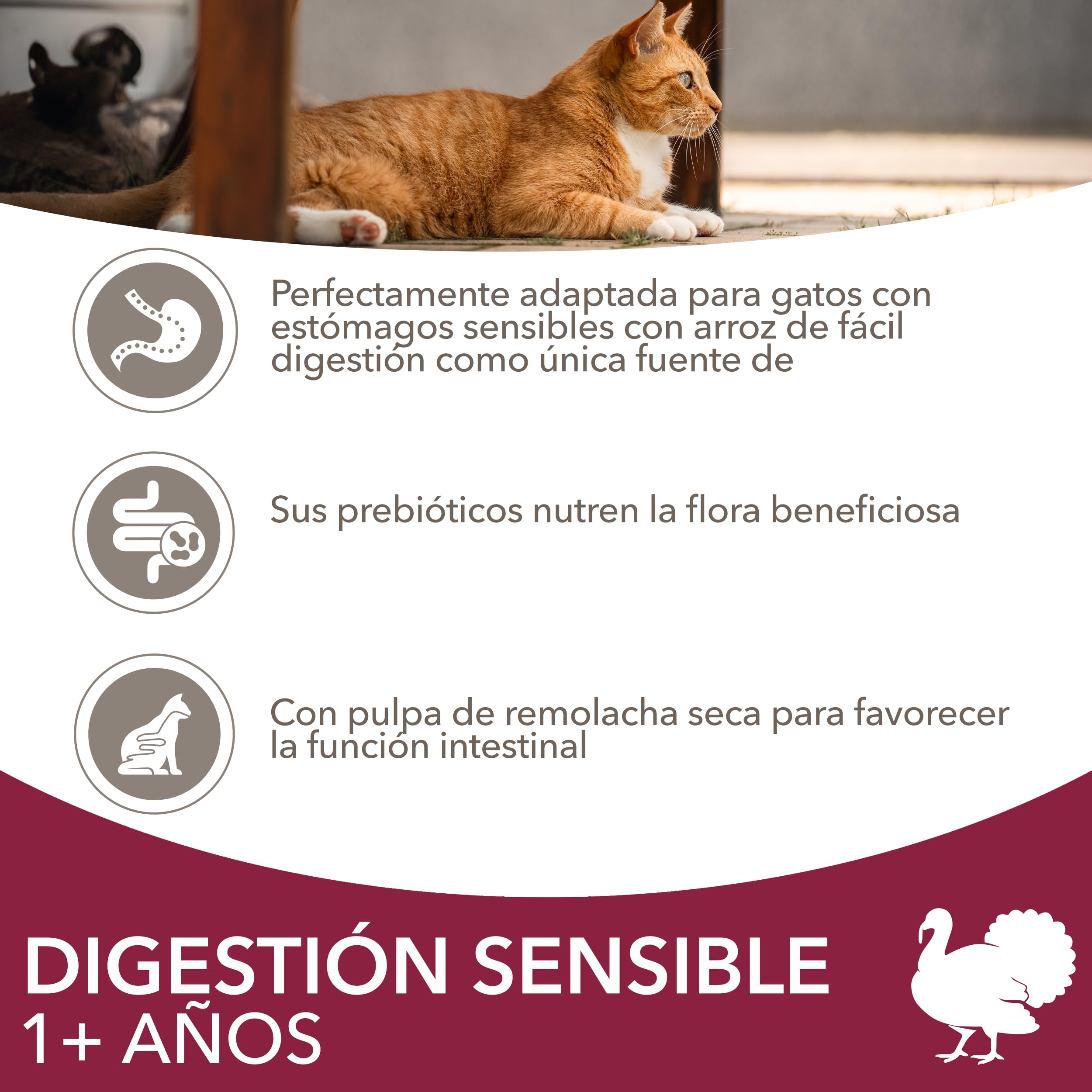 IAMS Alimento seco para Gatos con digestión Sensible - Comida Seca para Gatos Adultos de más de 1 año Rico en Pavo, 10 kg