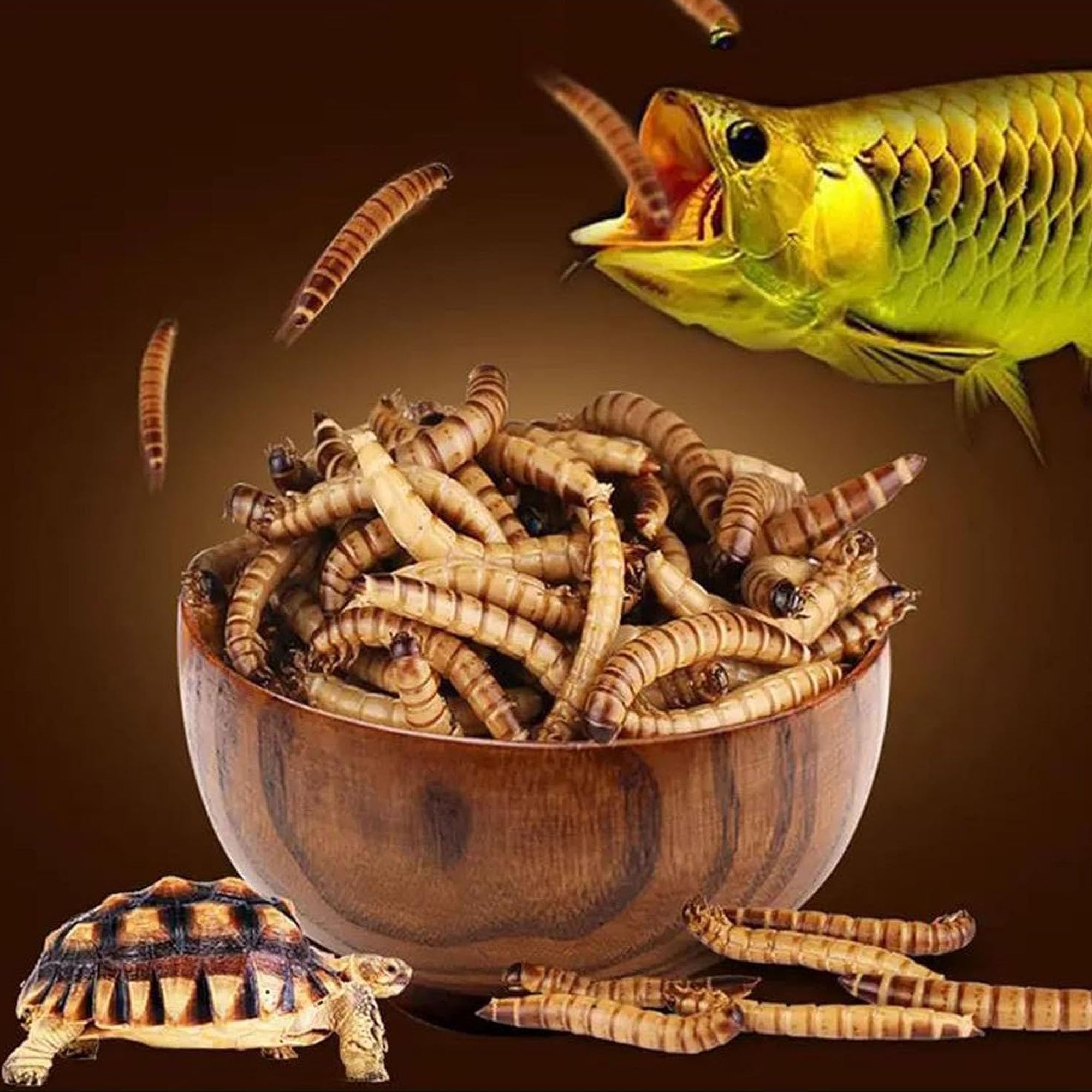 Ambiopet Soldatenfliegenlarven (Hermetia) getrocknet 5 + 5kg Packung, Black Soldier Fly, Protein- und fettreiches Wildvogelfutter, reich an Calcium und Laurinsäure - 5