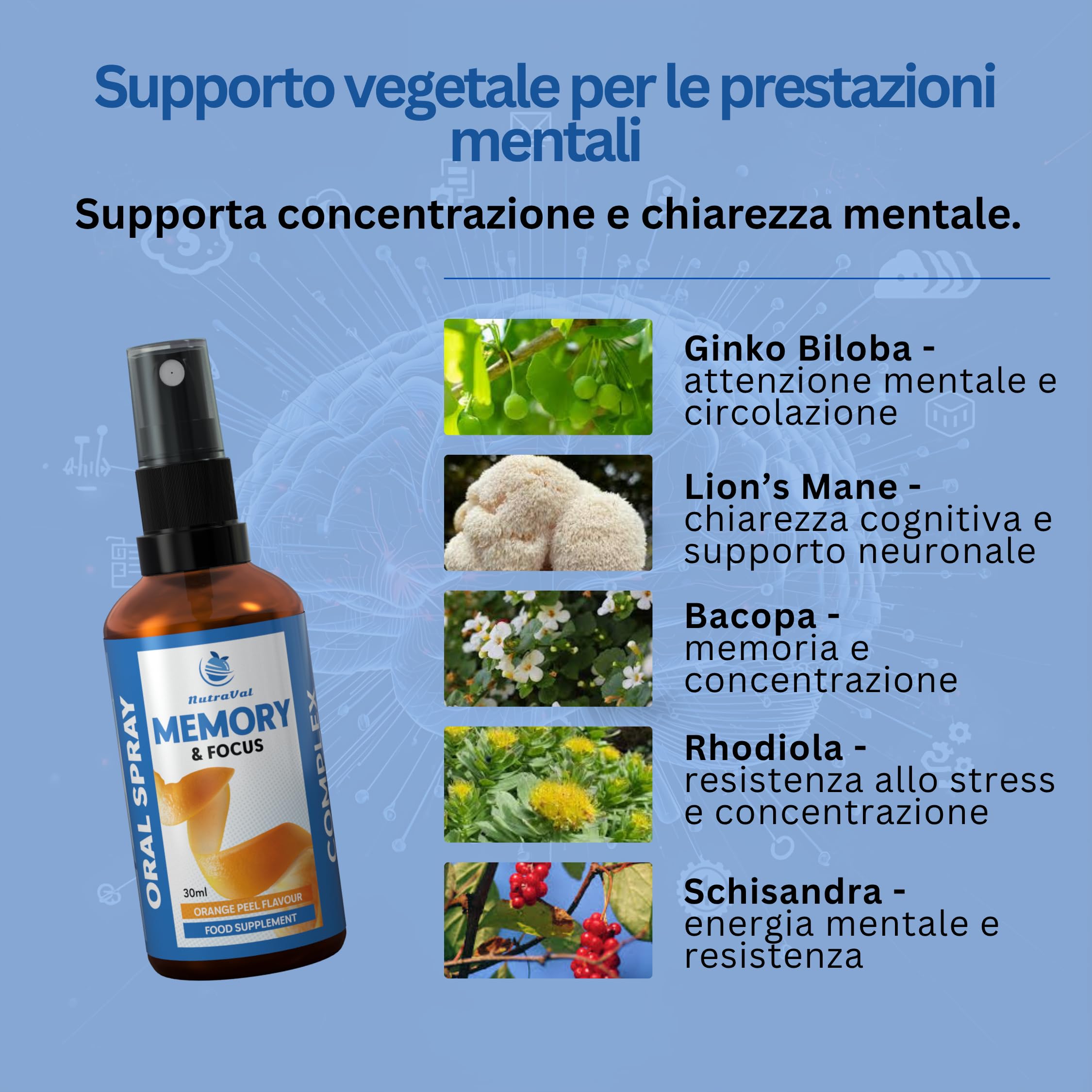Spray Memoria e Concentrazione – Assorbimento rapido – senza compresse – con Bacopa, Ginkgo, Hericium, Rhodiola e Schisandra – Supporto cognitivo per mente e cervello – Vegano – 30 ml