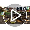 NOPE! Ant Killer Bait Station (6 x 5g) Indoor & Outdoor Ant Traps. Eradicates Ants and their Colony & Nest - Image 8