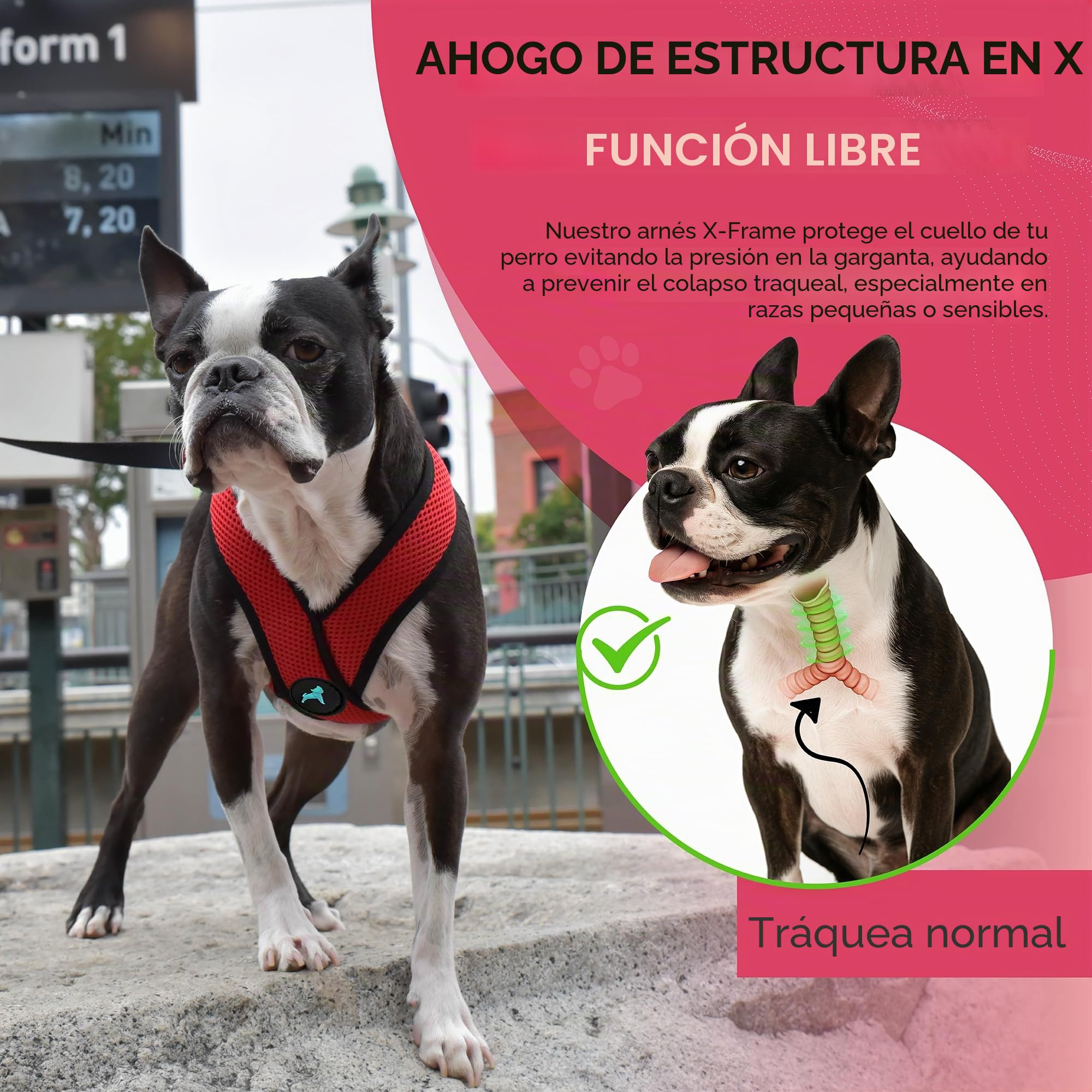 Gooby Choke Libre Comodidad X Suave arnés del Perro, Mediano, Rojo