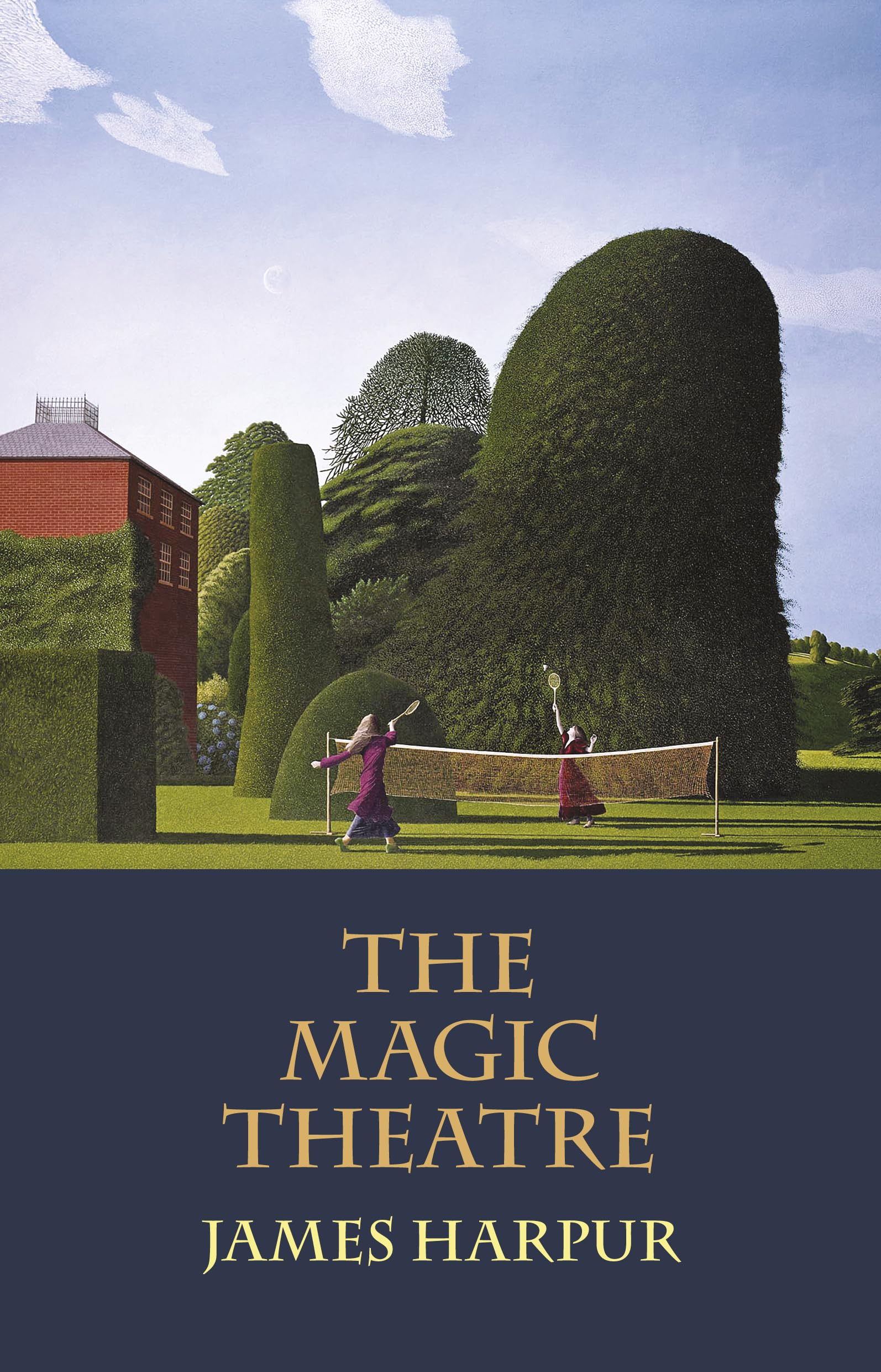 The Magic Theatre by James Harpur PAPERBACK 9781915048233