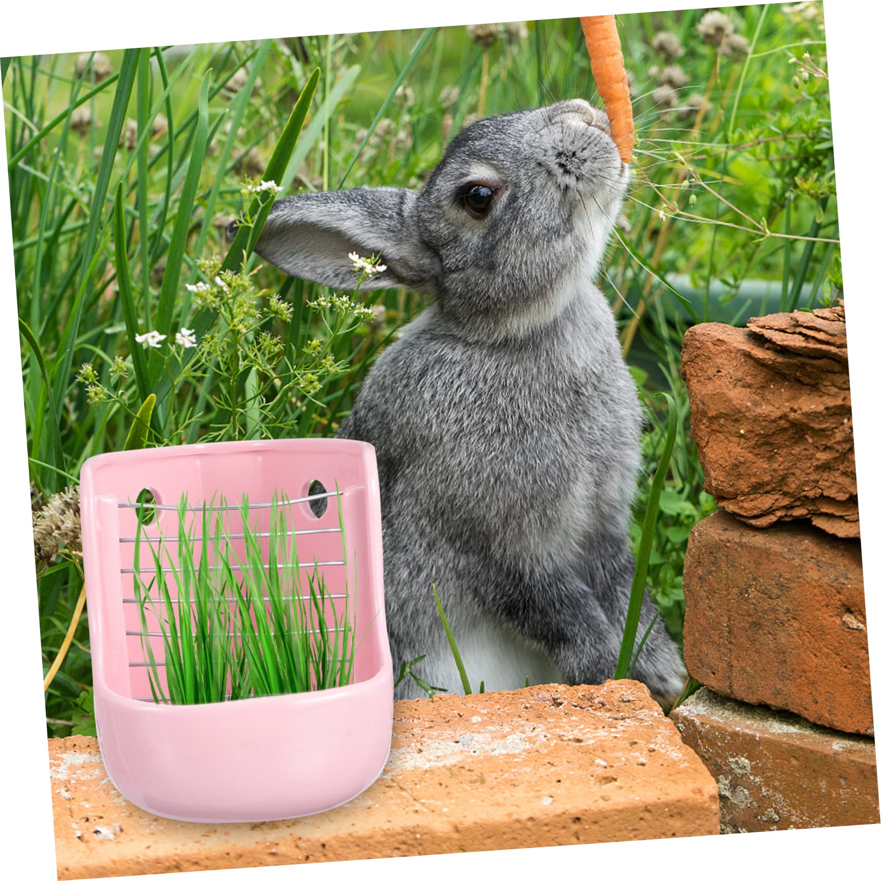 Mangiatoia in Ceramica Rosa per Porcellini D'india e Conigli | Superficie Liscia, Uso Doppio Fieno e Cibo, per Piccoli Animali, Formato Compatto