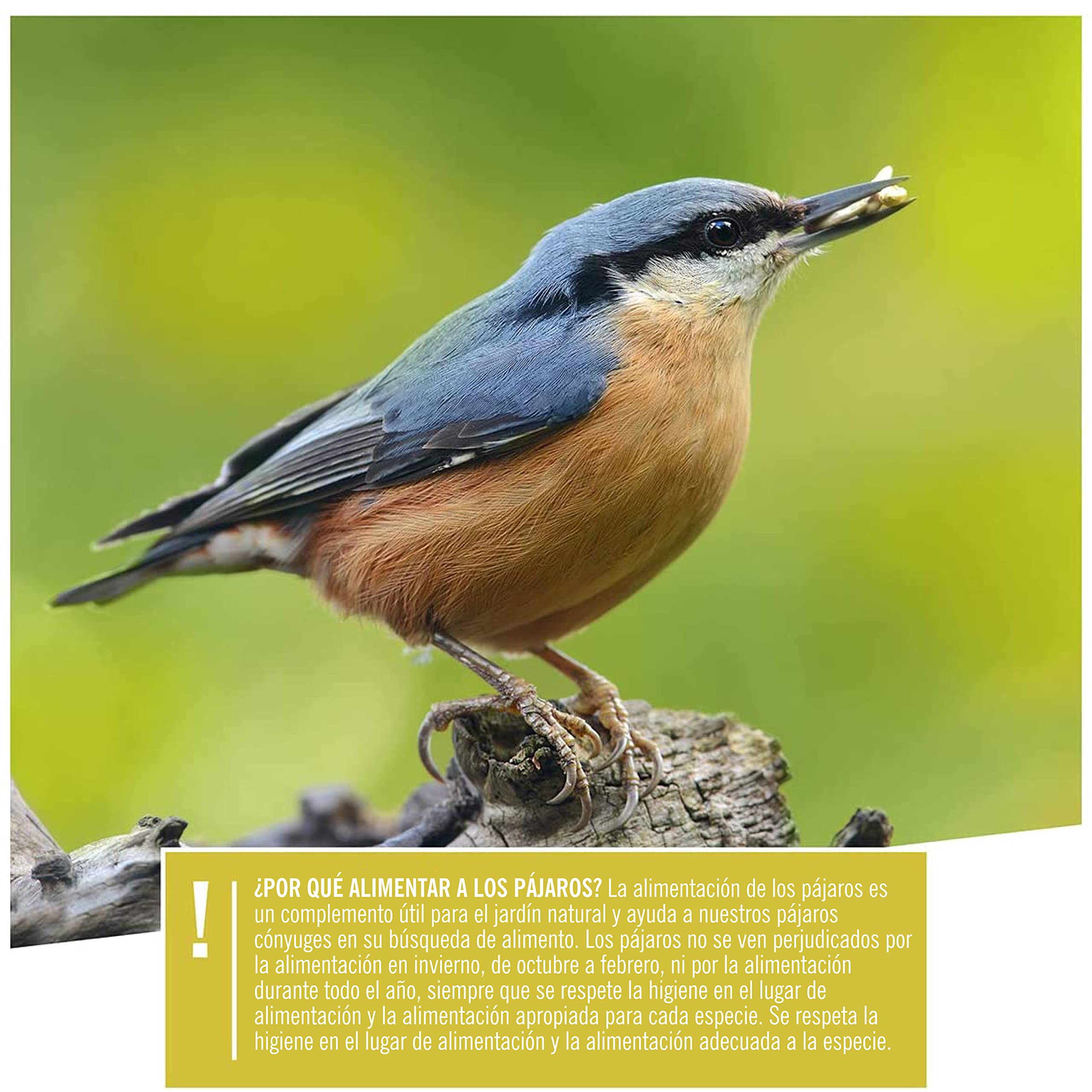wildtier Herz I Alimentación para Pájaros - 5kg sin Trigo I Comida de Aves para Alimentos - Alimento para Aves