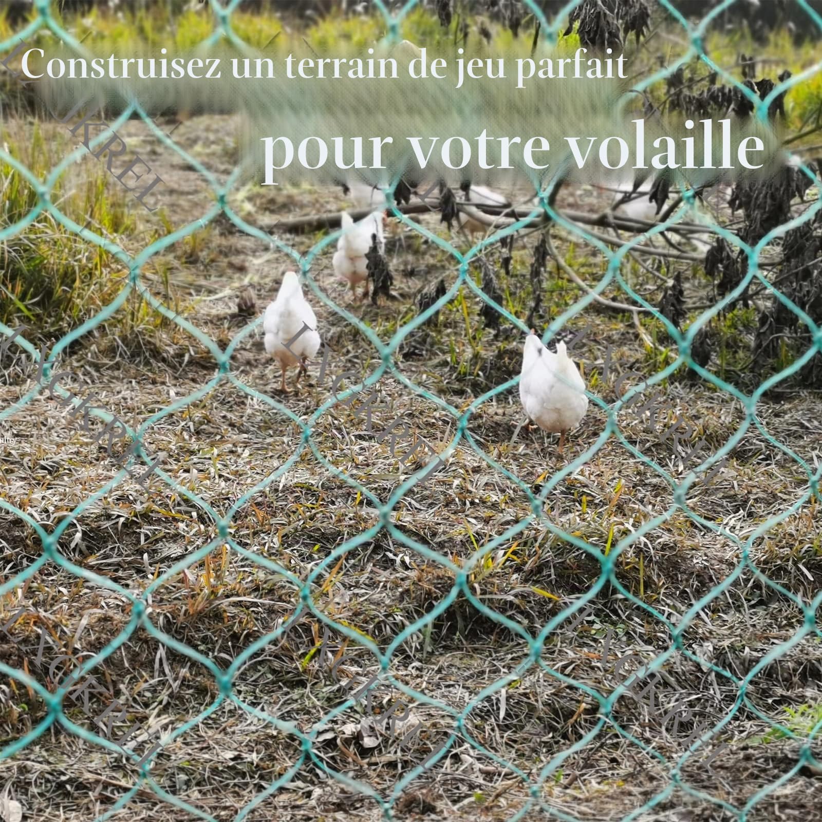 LXGKREL Filet de volaille très robuste en 36 fils avec nœuds fixes - 5 cm - Clôture de volaille sans électricité pour protéger les oiseaux de proie - Complément idéal du poulailler - 1,5 x 20 m