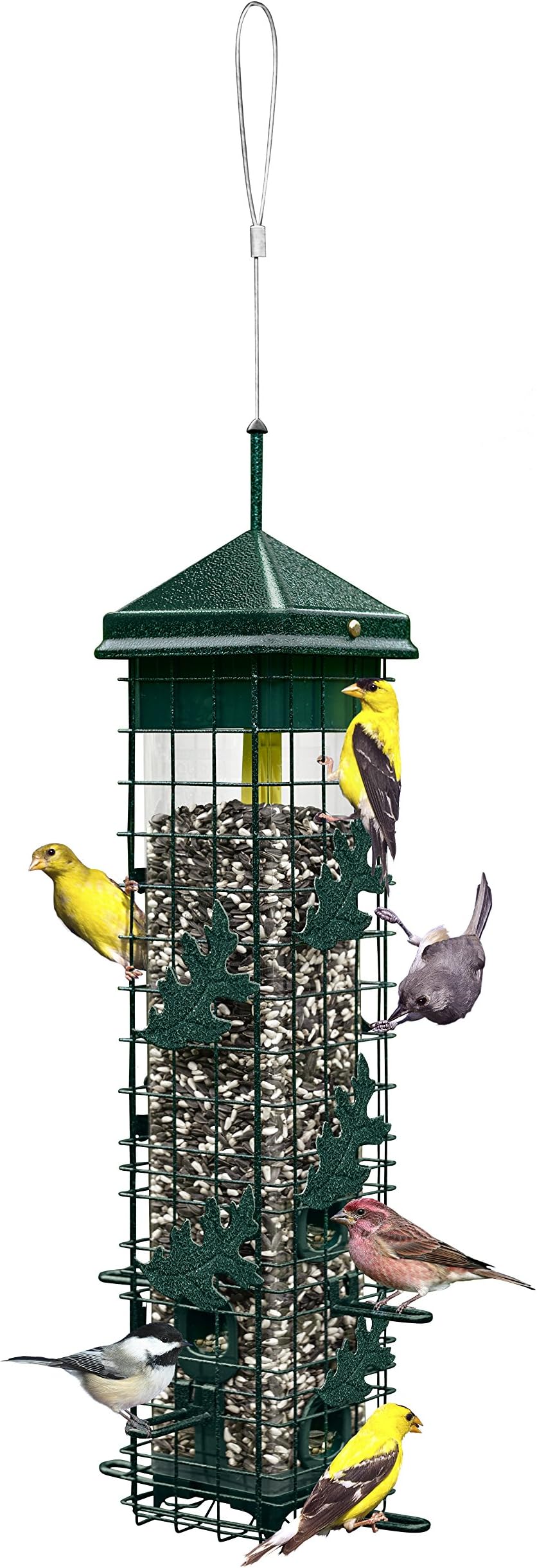 Squirrel Solution200 Squirrel-proof Bird Feeder w/6 Feeding Ports, 3.4-pound Seed Capacity, Free Seed Funnel