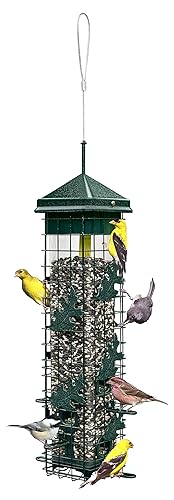 Squirrel Solution200 Squirrel-proof Bird Feeder w/6 Feeding Ports, 3.4-pound Seed
