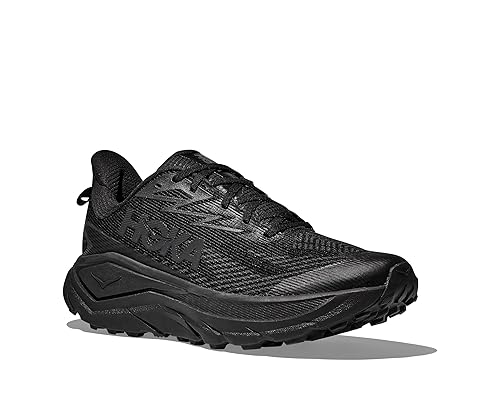 Challenger 8 GTX SneakerHomme