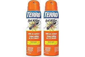 TERRO T401SR Indoor and Outdoor Ant Killer Aerosol Spray