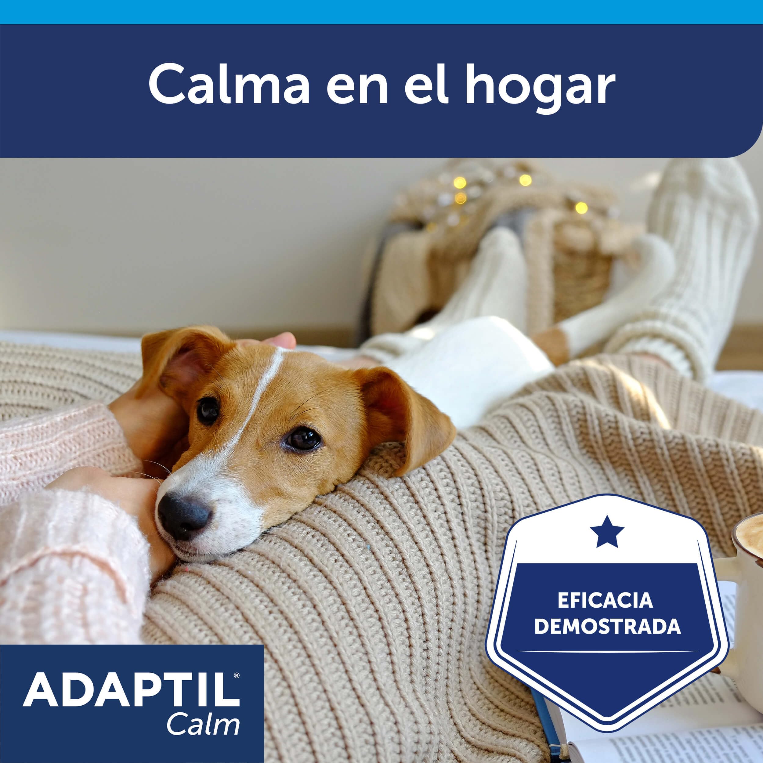 ADAPTIL Calm - Antiestrés para perros - Solo en casa, Miedos, Ruidos fuertes, Adopción - Recambio 48ml