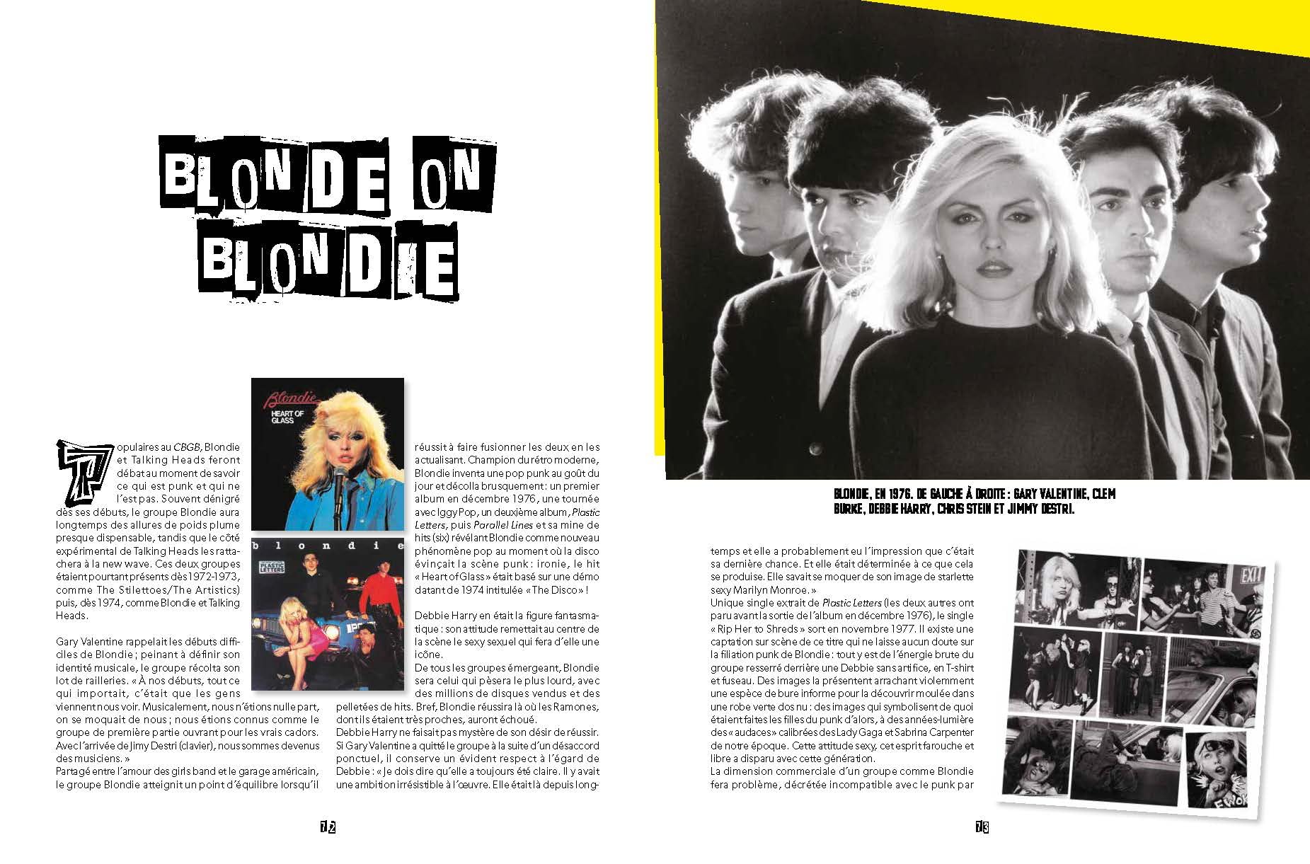 La Grande histoire du punk