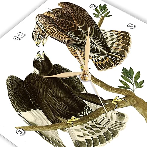 Miniatura 3 de 3dRose Reloj de pared silencioso  10 pulgadas  Ratonero Halcón Halcón Aves de Presa Audubon Vintage Art  Diseños de aves