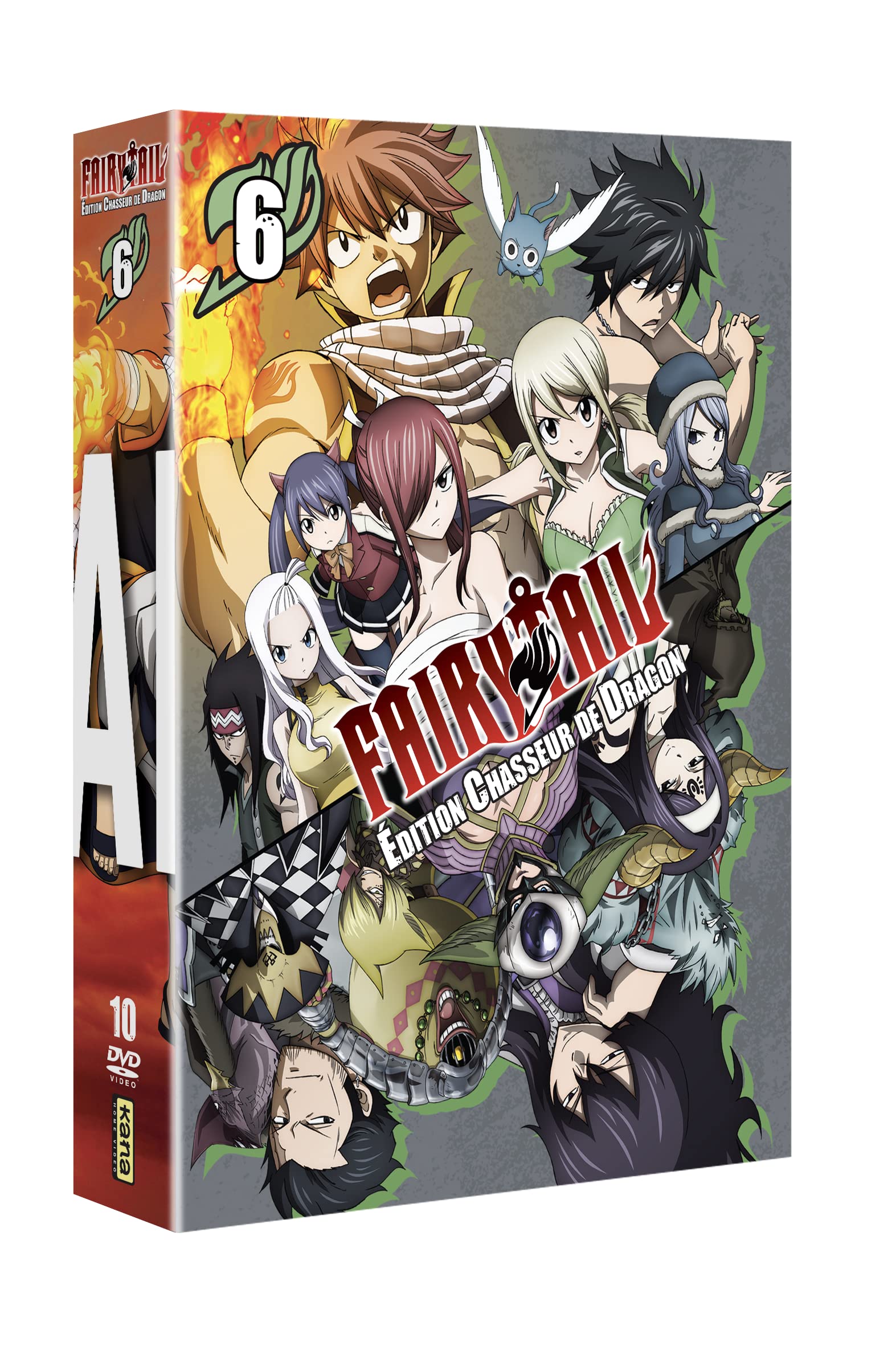 Fairy Tail - Édition Chasseur de dragon - 6