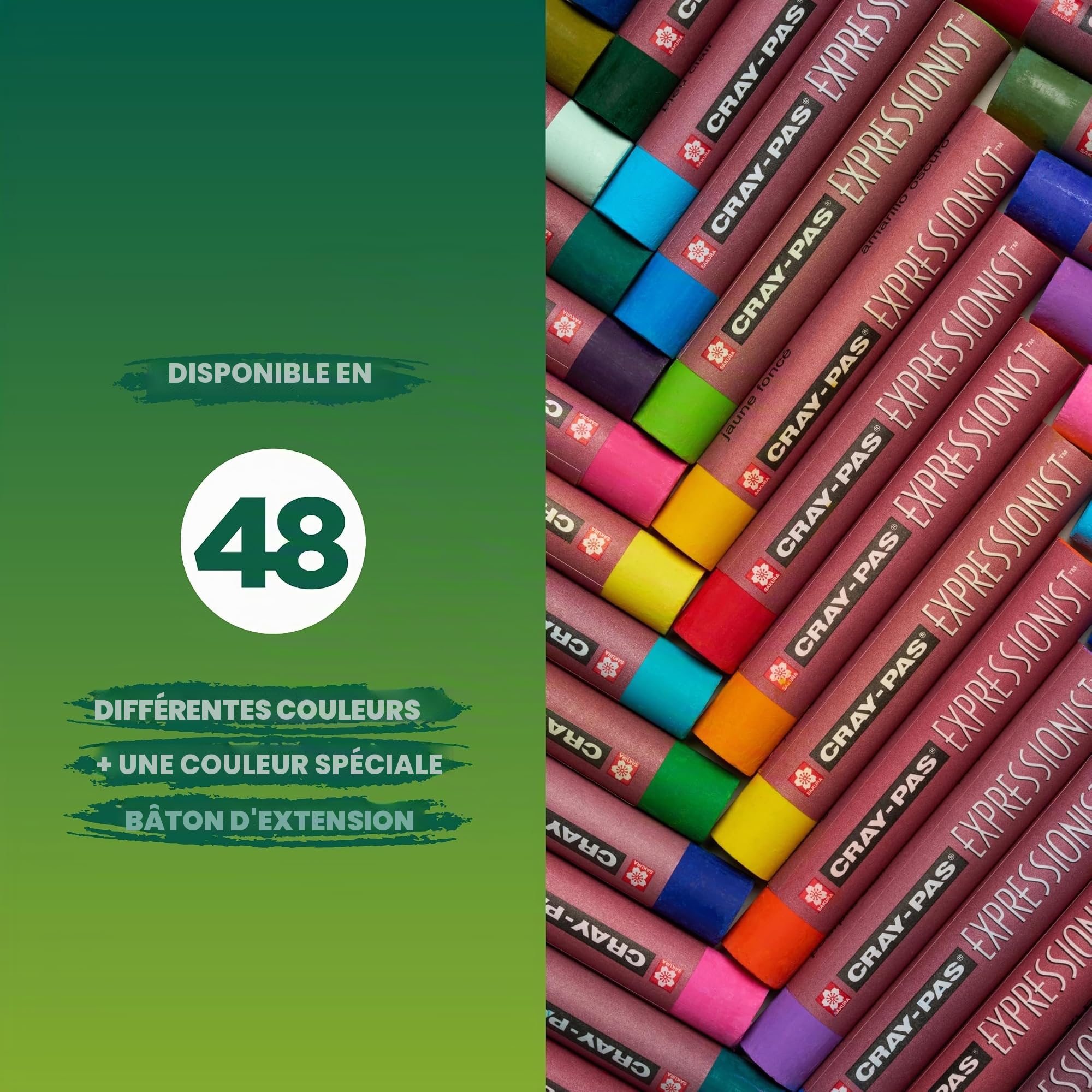 Cray Pas Expressionist Lot de 50 Pastels à huile couleurs Assortis