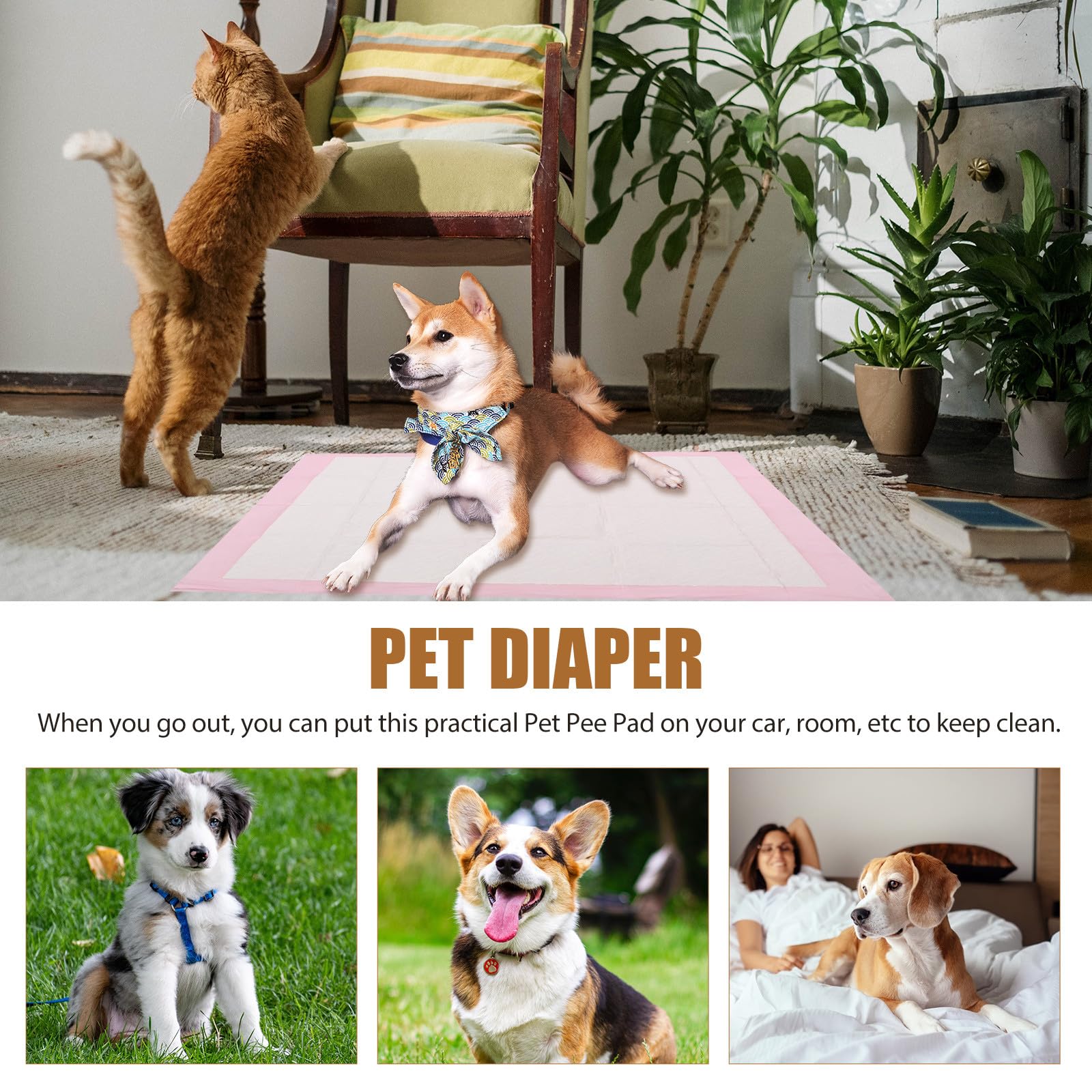 Alipis Tappetini Assorbenti per Cane Larghi 60X60 CM Non Tessuto, Adatti a Cuccioli e Cani Anziani Confezione da 40 Unitá