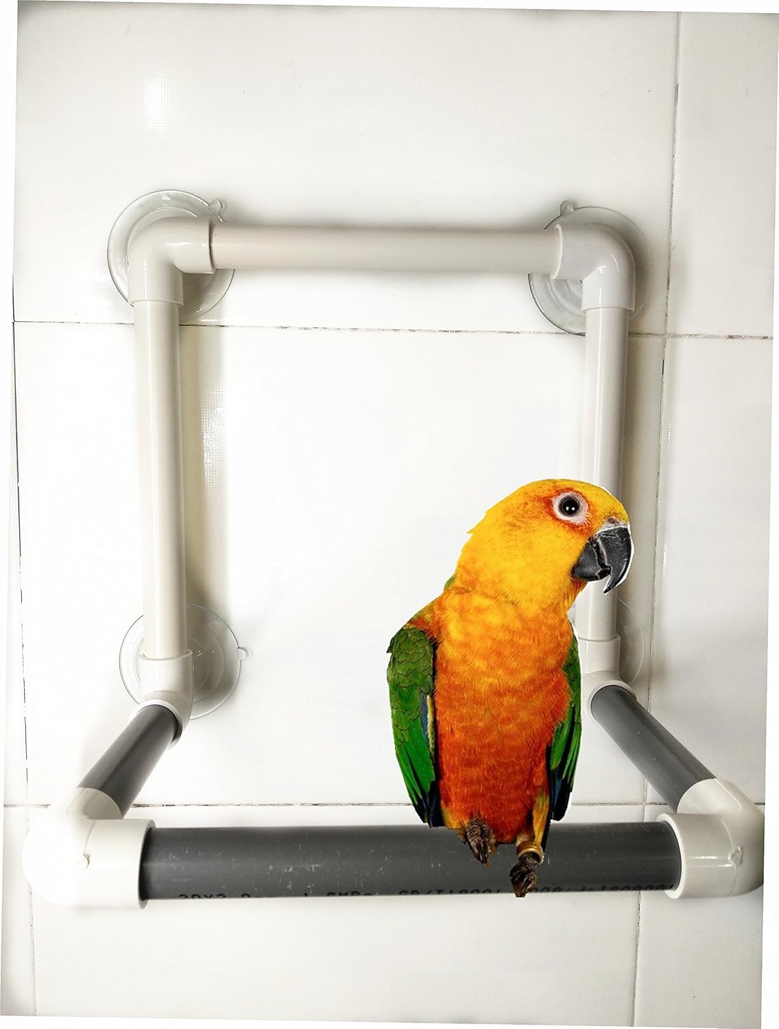 Hypeety Bird Portable Suction Cup Parrot Shower Perch
