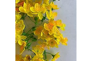 Hoa Mai Vàng - Decorations for Vietnamese New Year