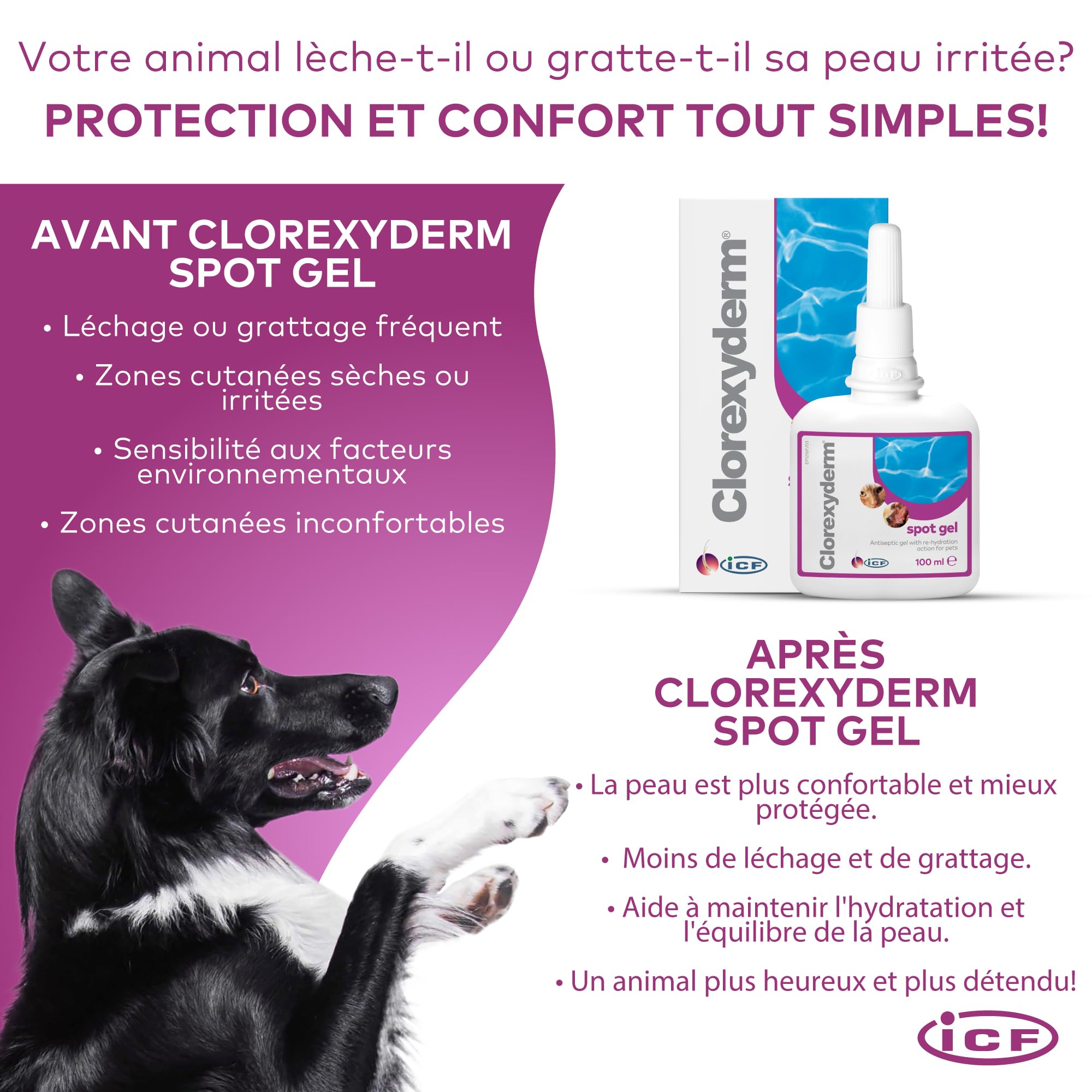 ICF Clorexyderm Spot Gel | Gel Assainissant, Hydratant et Protecteur pour Chien et Chat | Soin Indiqué pour Application Locale : Peau et Oreille | Produit 100ml