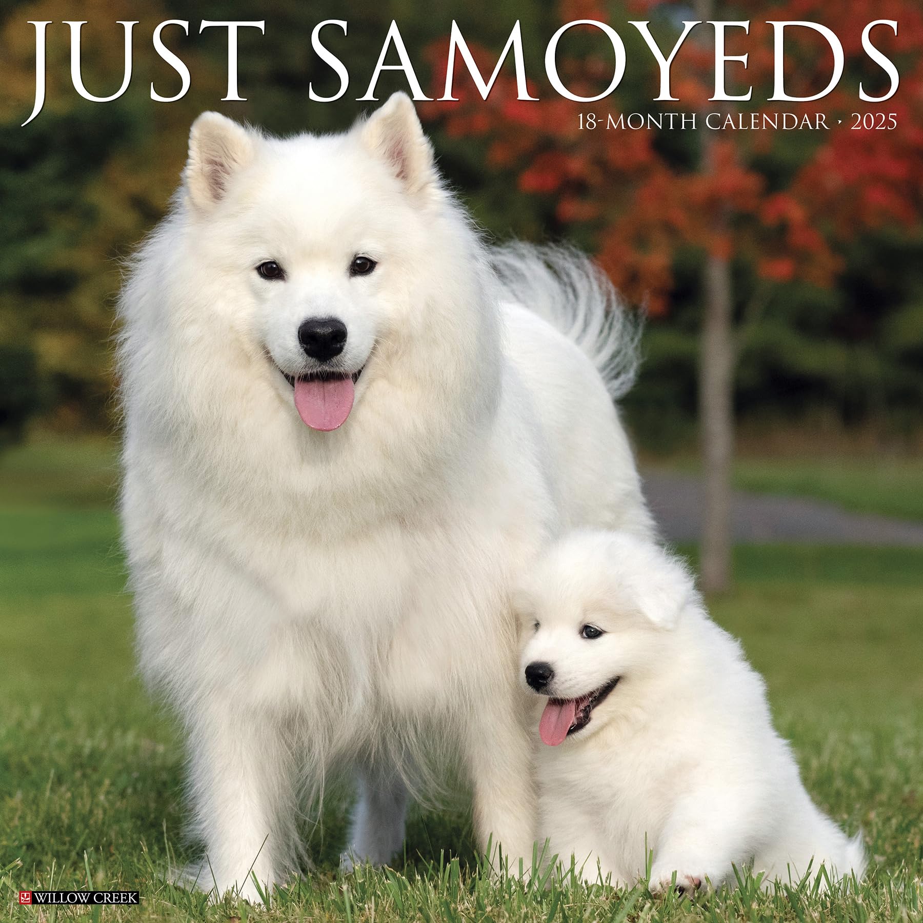 Willow Creek PressJust Samoyeds 2025 Wall Calendar