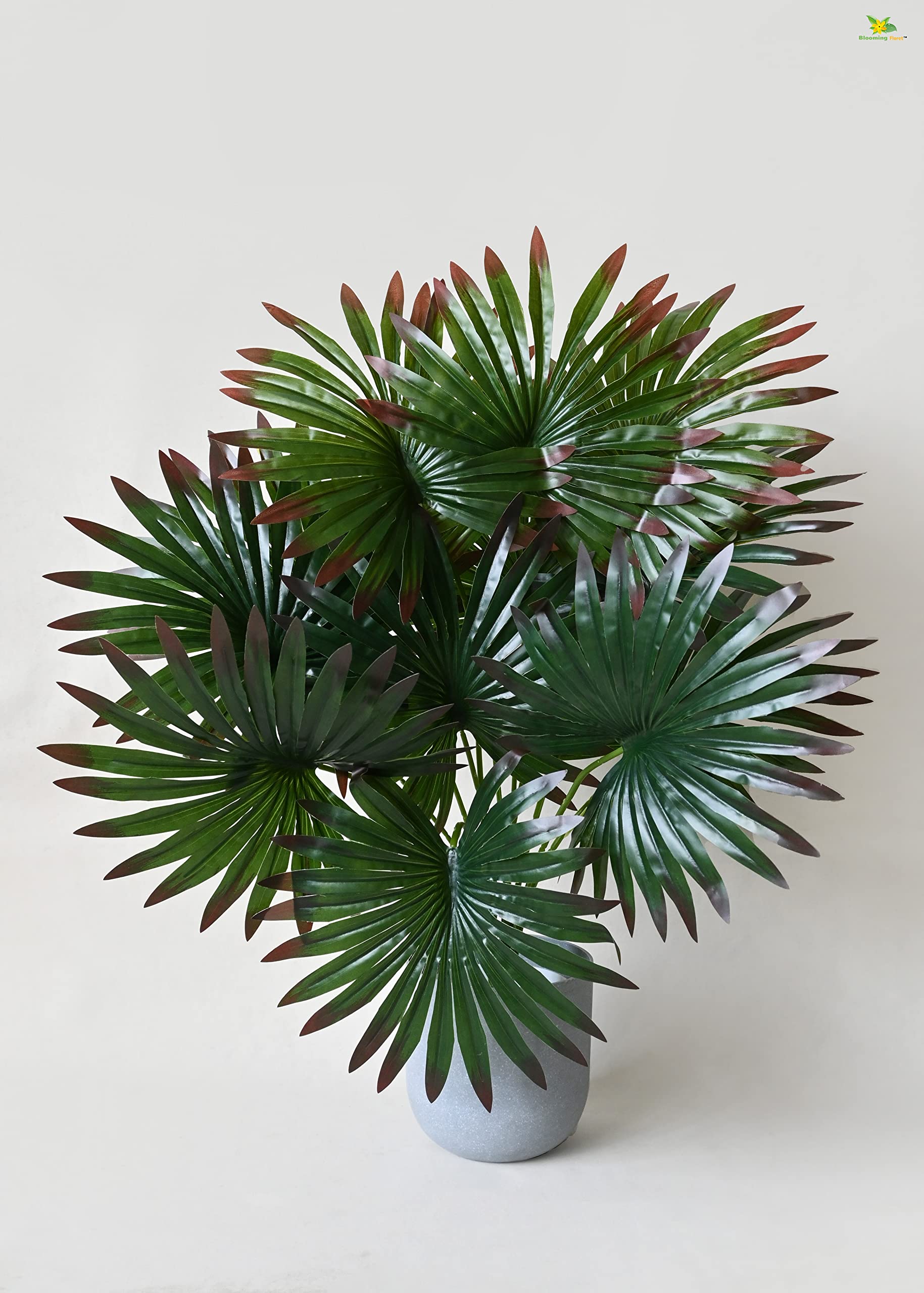 Blooming Floret Artificial Fan Palm | with Basic Black Pot | 12 Leaves | Ornamental Plant for Interior Decor/Home Decor/Office Decor | 65 cm Short Indoor Green Plant | Durable (B0BWN7XYW9) Amazon Price History, Amazon Price Tracker