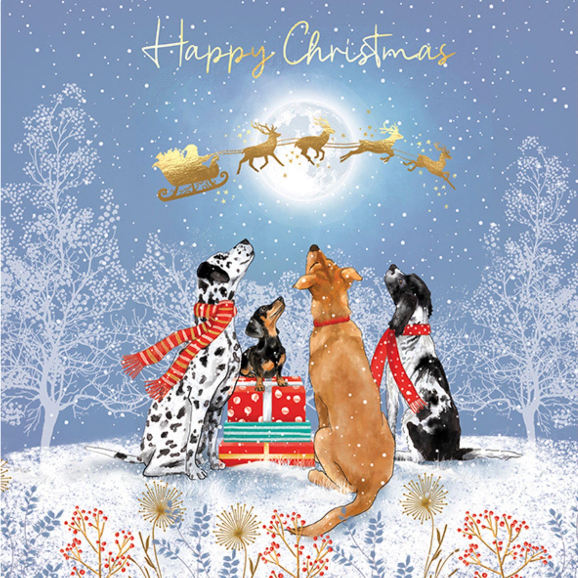 Noel Tatt Charity Christmas Cards Pack of 10 - Festive Dogs & Santa's Sleigh in the Snow - Premium Greeting Cards Multipack with Envelopes - Supporting UK Charities