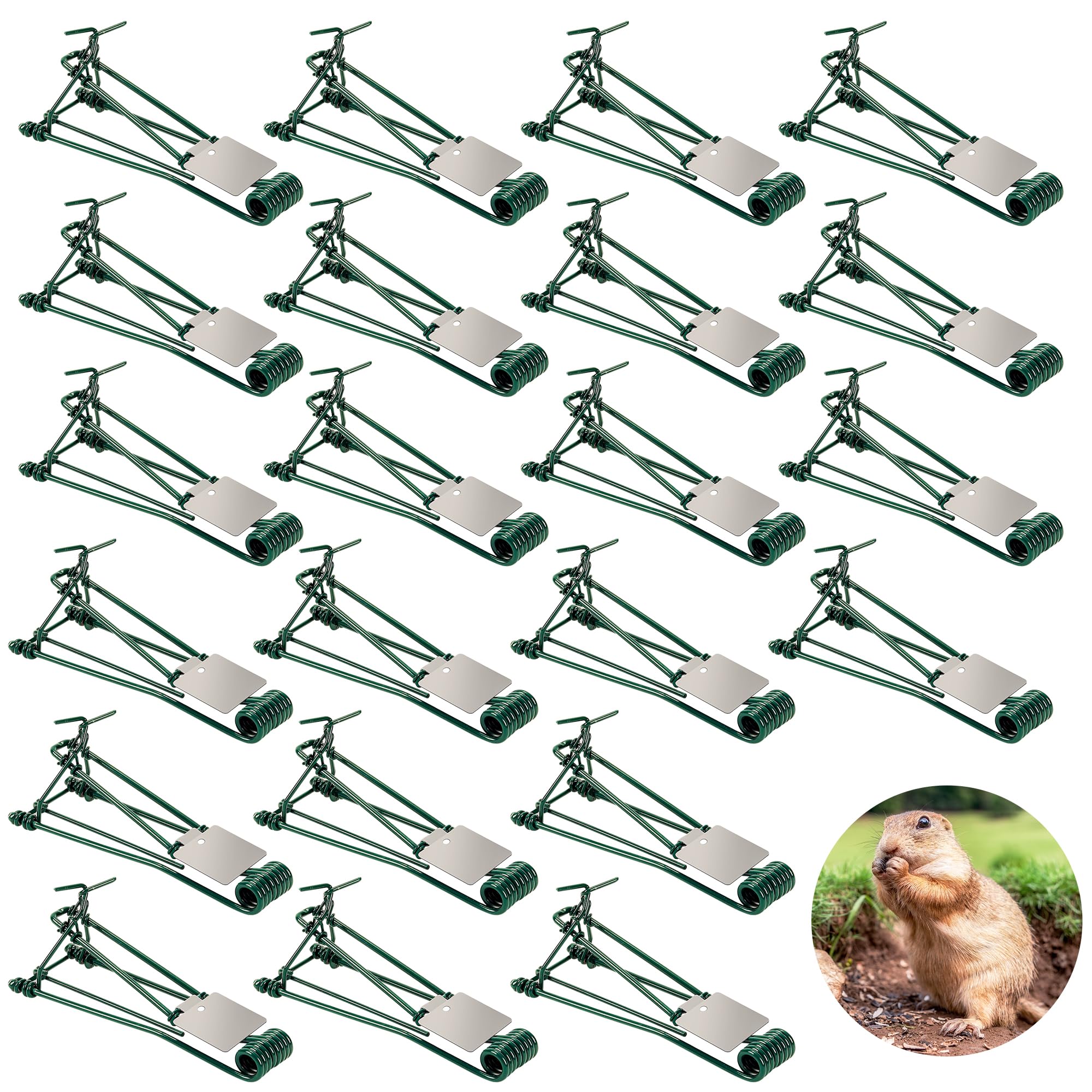 24 Pack Gopher Traps Outdoor - Reusable Easy Set Metal Gopher Trap, Weather Proof Mole Vole Traps for Lawn Garden Farm, Mole Killer Trap, Stainless Steel