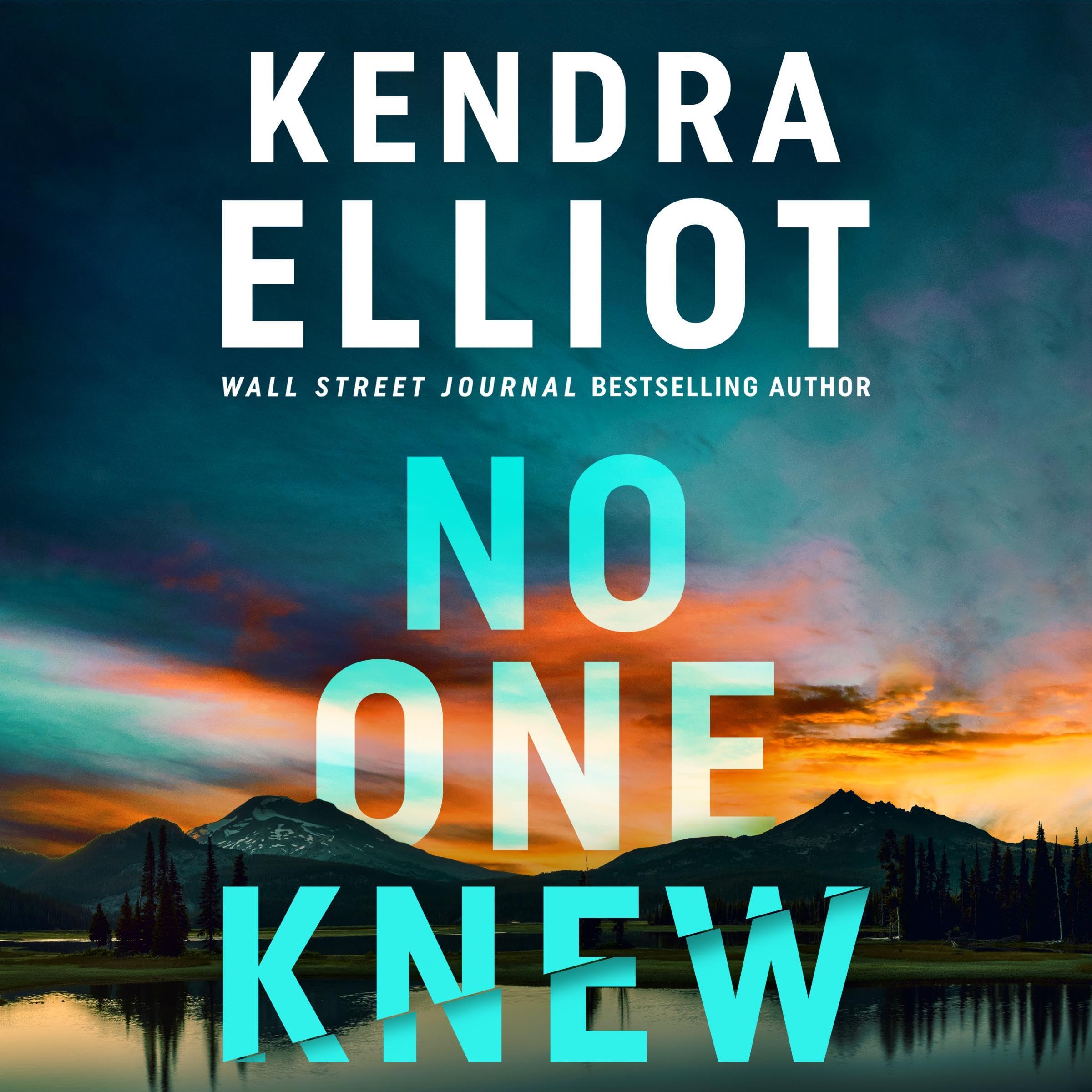 Cover art for No One Knew