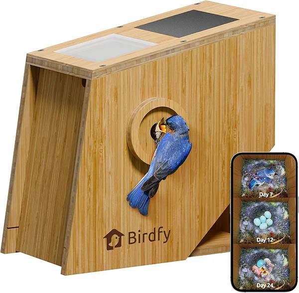 Birdfy Smart Bird House with Camera Lifetime AI Identify Auto-Record Nesting Stages & Alerts, Remote Control Night Vision Battery & Solar Outdoor-Ready, Gift for Nesting Watching Enthusiasts