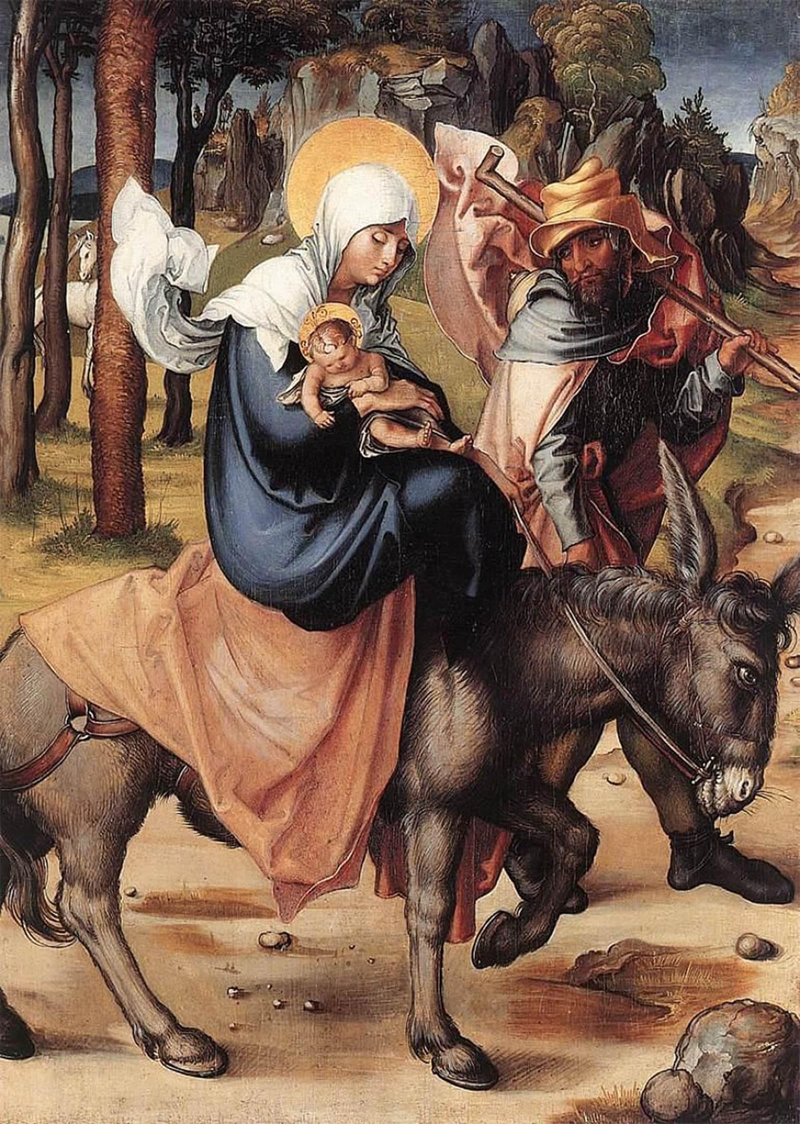 Tableaux Graffiti Art Mural d'Albrecht Dürer 60x90cm poster impression moderne