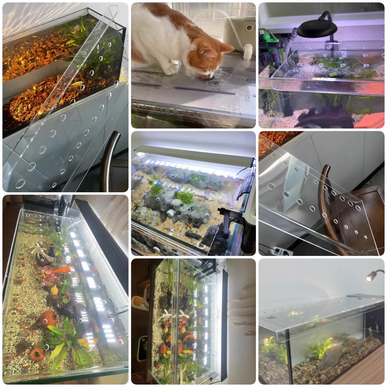 PEYNIR Coperchio Acquario Dimensioni Personalizzate Coperchio per Acquario, Lastra in Acrilico Trasparente Tettuccio per Acquario, Casa Veranda Copertura Anti-Salto dei Pesci(L40xW20cm/15.7x7.9in)