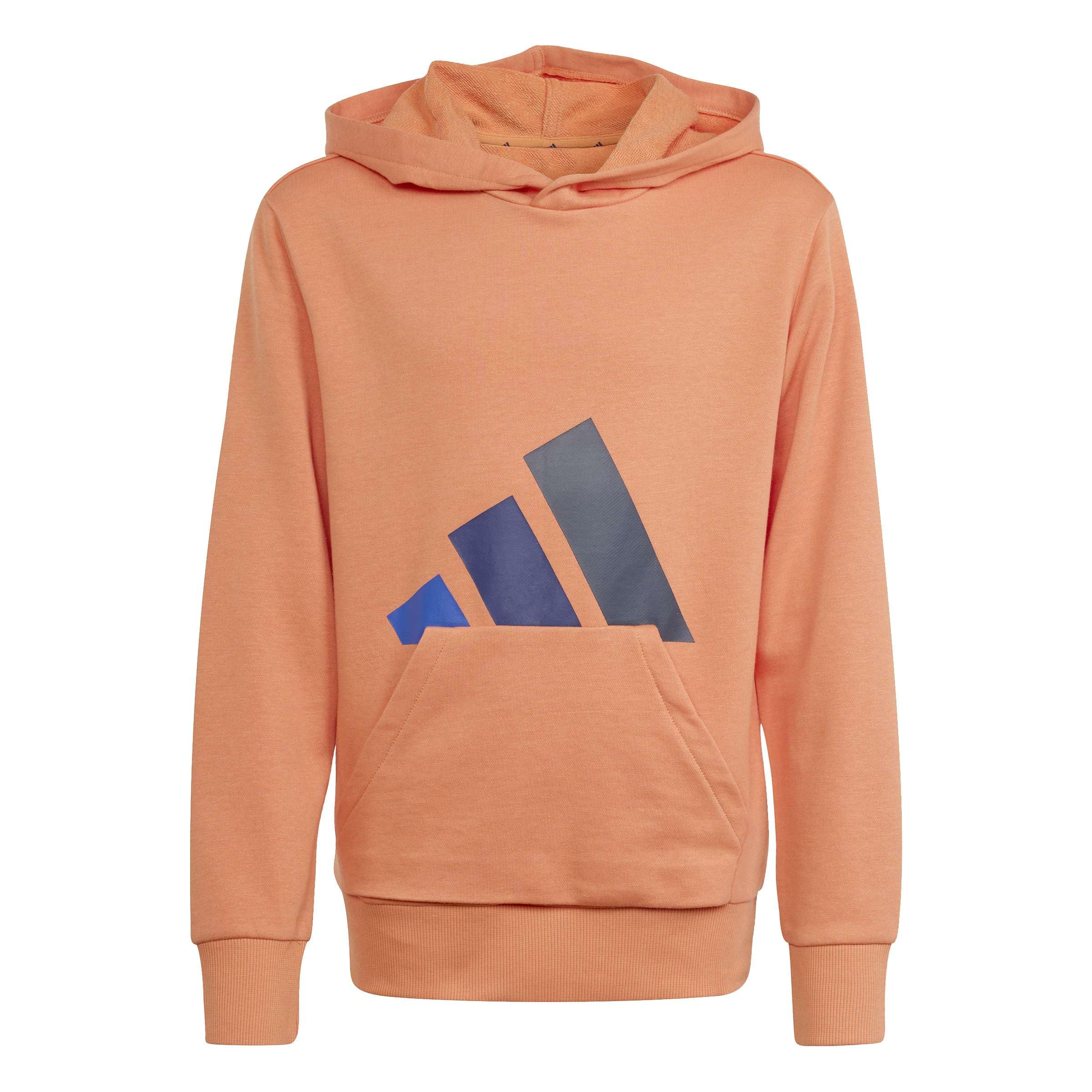 adidas Unisex Kids ESSENTIALS BIG LOGO HOODIE, Dusky Orange/team royal blue/dark blue/aurora ink, 11-12 Years