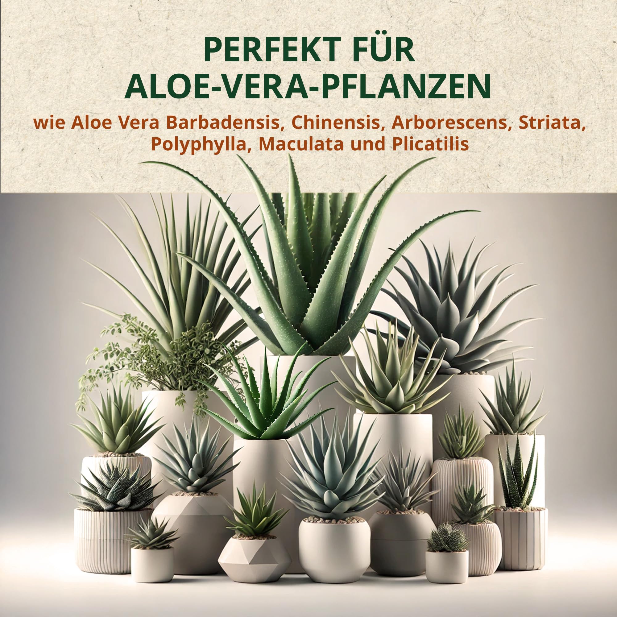 ORAGARDEN Aloe Vera Erde fr Zimmerpflanzen und Garten - 6L Aloe Vera  Substrat fr Pflanzen, Palmen, Blumen Grnpflanzen - 9 Komponenten  Grnpflanzenerde : Amazon.de: Garten