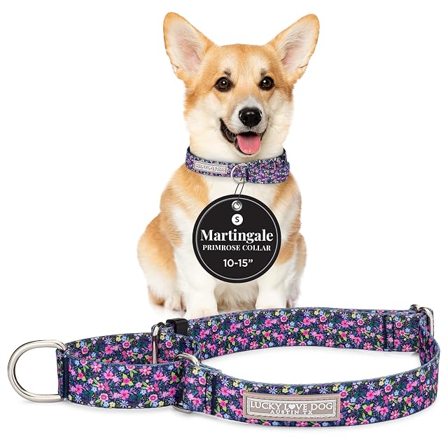Lucky Love Dog Martingale - Collar de perro ajustable, antideslizante, duradero y suave para perros machos…