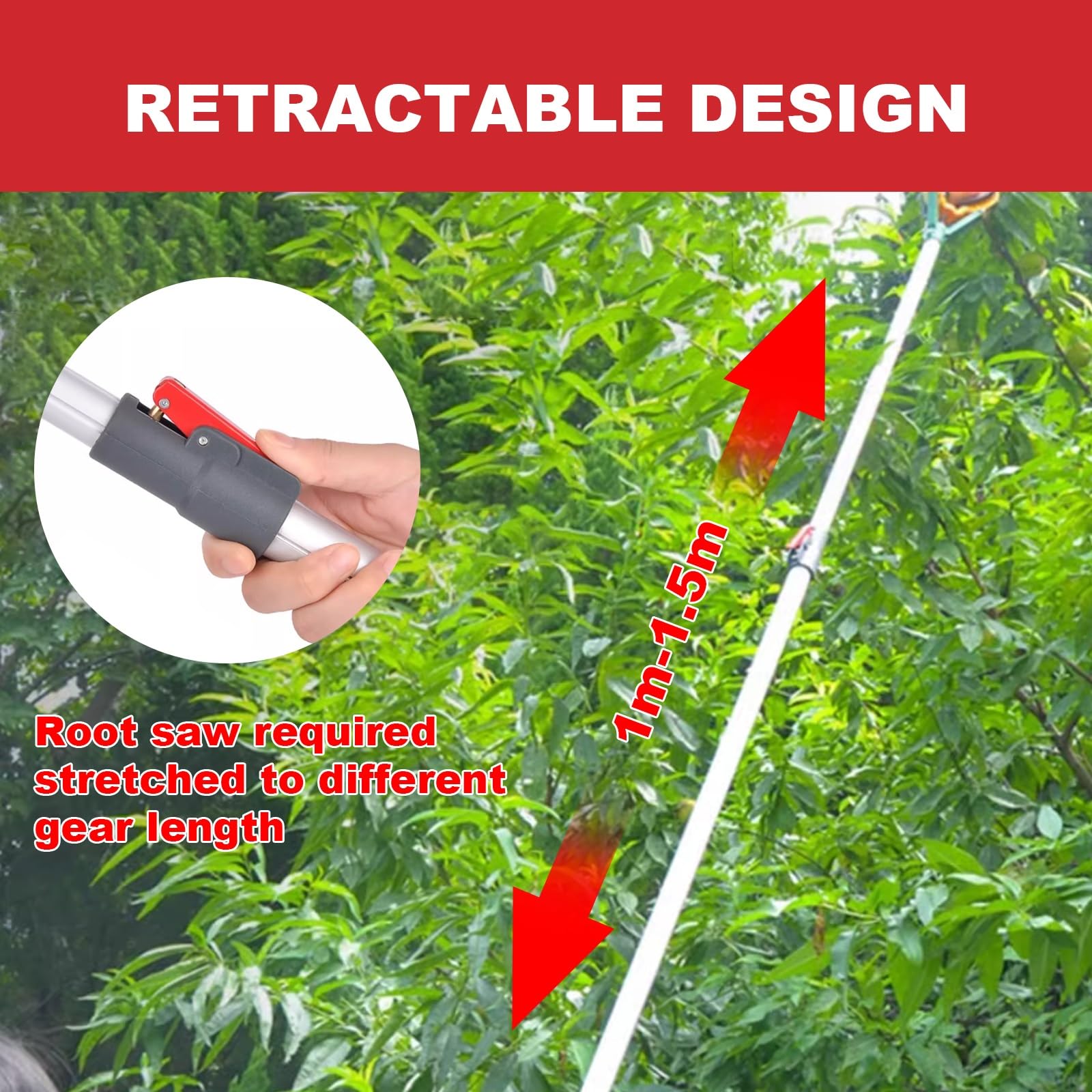 Asta per la Raccolta della Frutta, Raccoglifrutta Estensibile Regolabile 39"-59", raccoglifrutta Multifunzione con Copertura Antiscivolo, Asta for Arance, pere, Limoni
