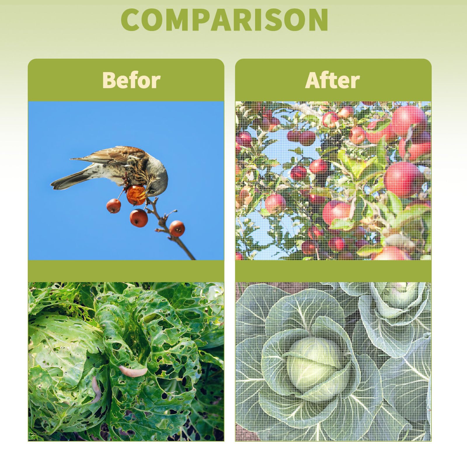 Filet à légumes de Jardin 3 x 6 m - Filet de Protection Contre Les Insectes pour Plantes et Légumes