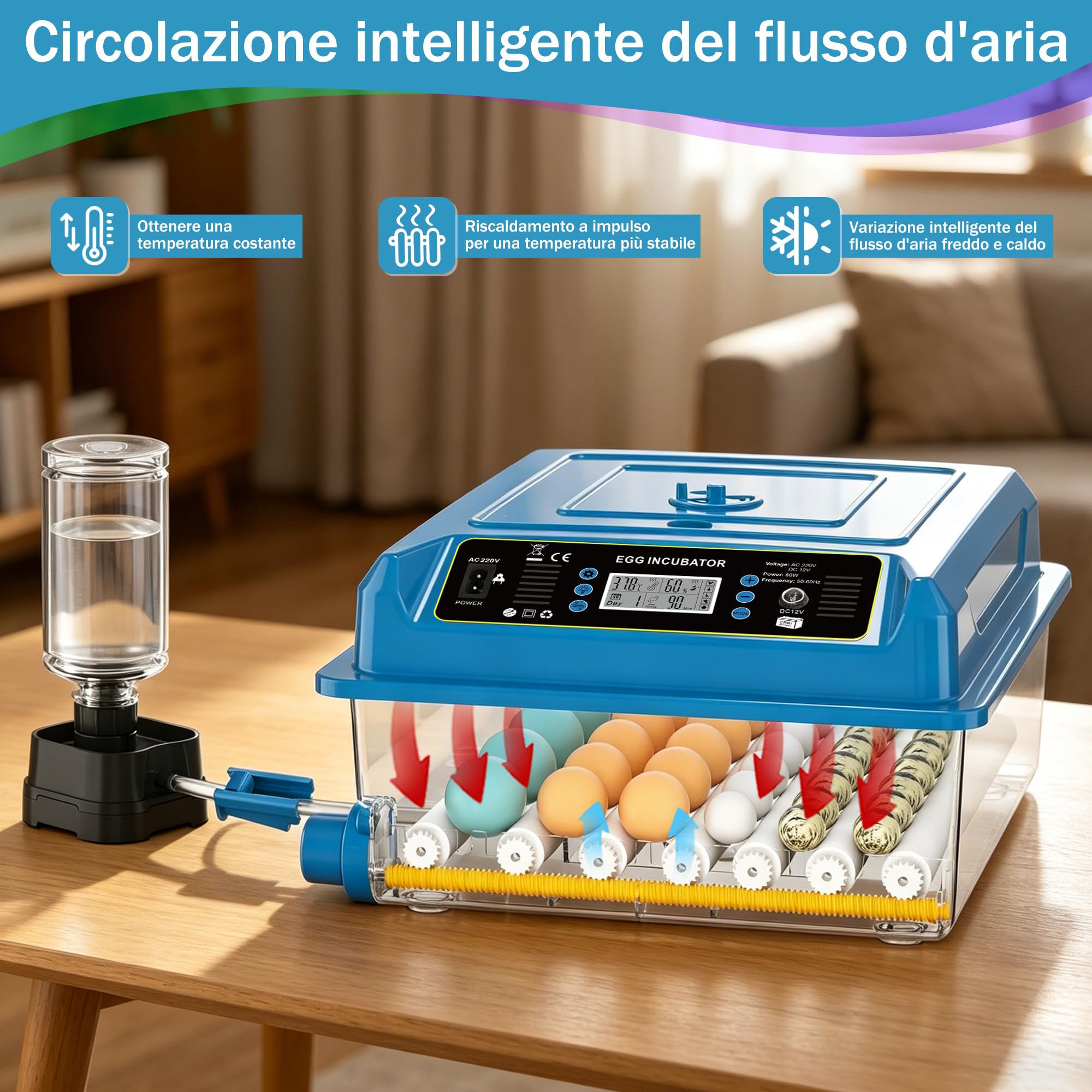 incubatrice automatica 36 uova, 5 modalità cova auto, regolatore acqua esterno, controllo temperatura, rotazione uova auto, display cova, per galline anatre oche (Blu)