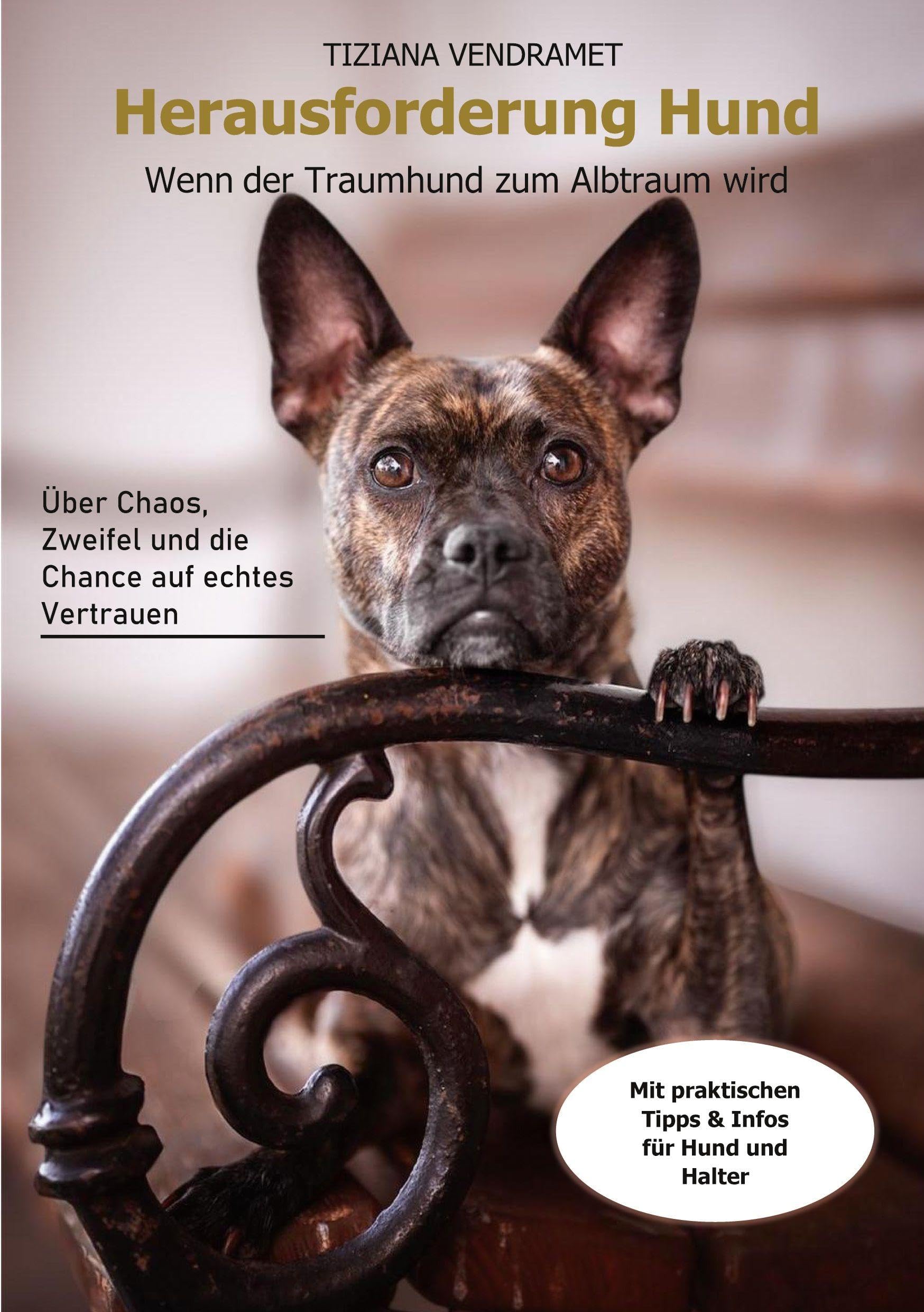 Herausforderung Hund: Wenn der Traumhund zum Albtraum wird