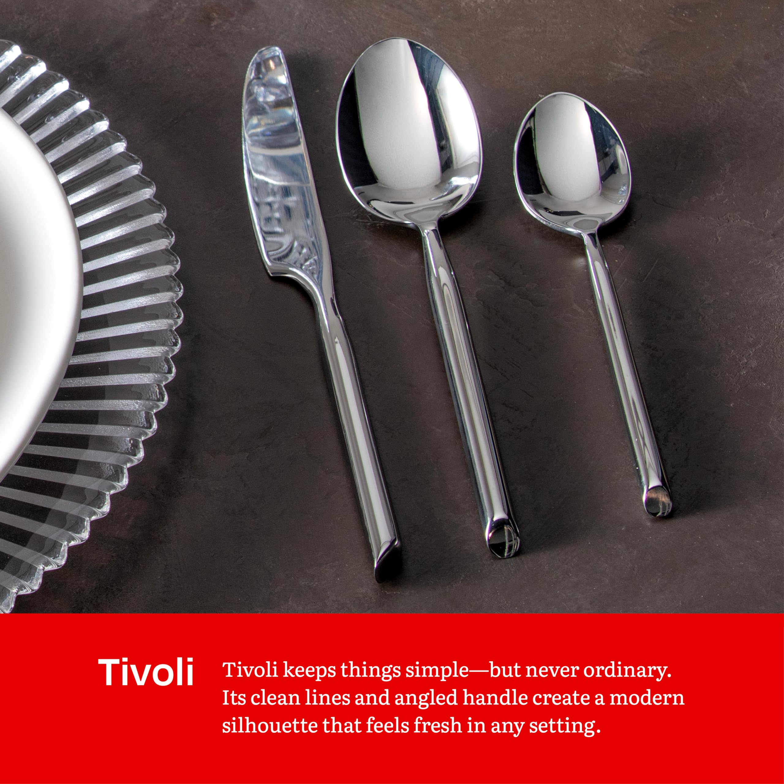 Amazon.com: Eater x Zwiesel Fortessa Tivoli 18/10 Stainless Steel