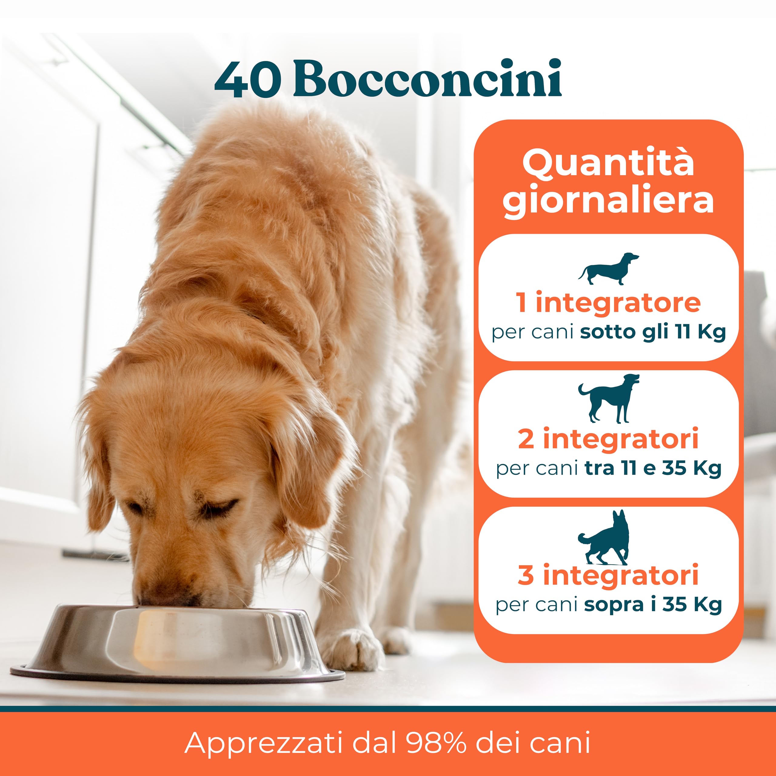 Probiotico per Cani Gusto Manzo - Integratori Probiotici per Cani per Intestino, Prurito e Sistema Immunitario (40 Bocconcini)