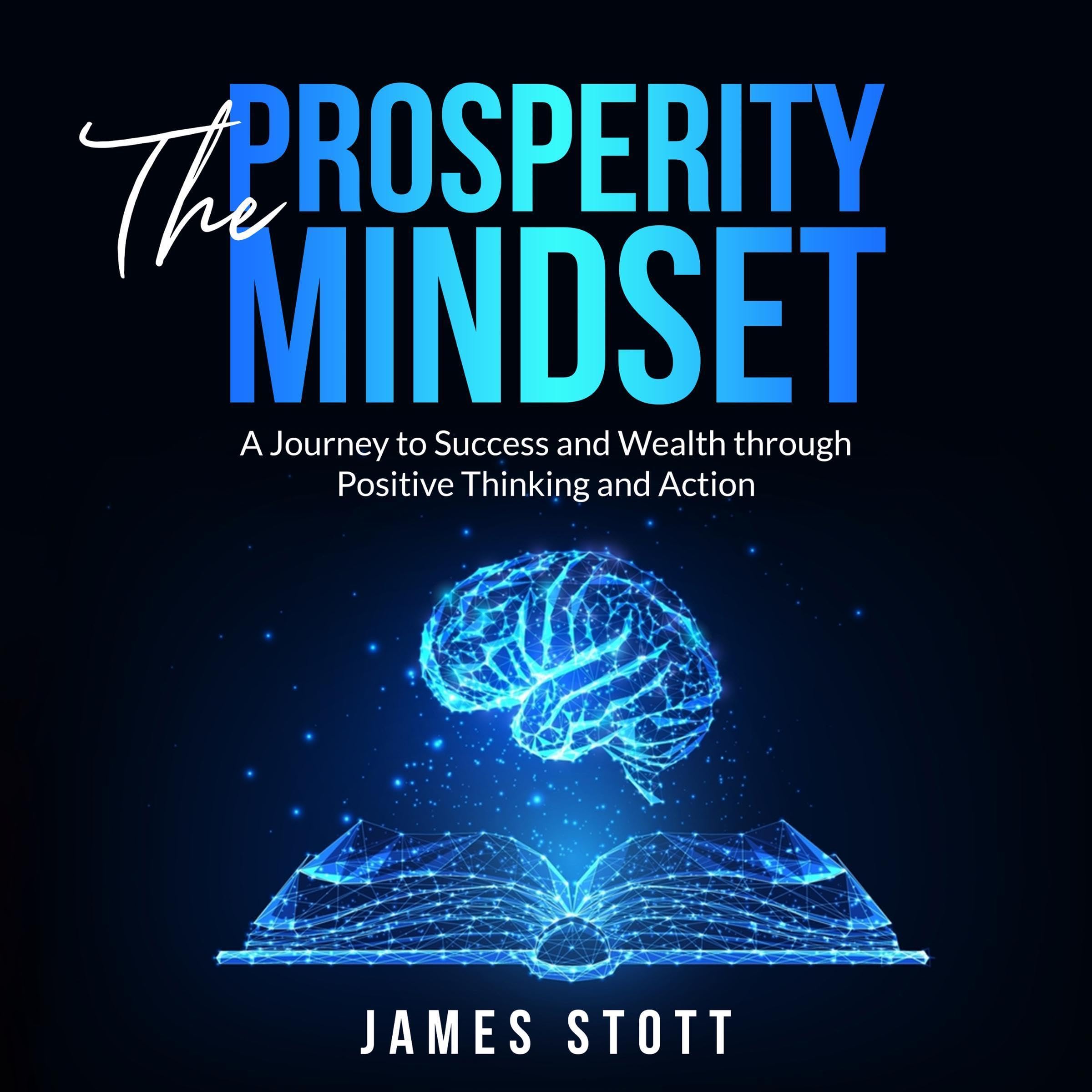 Cover art for The Prosperity Mindset