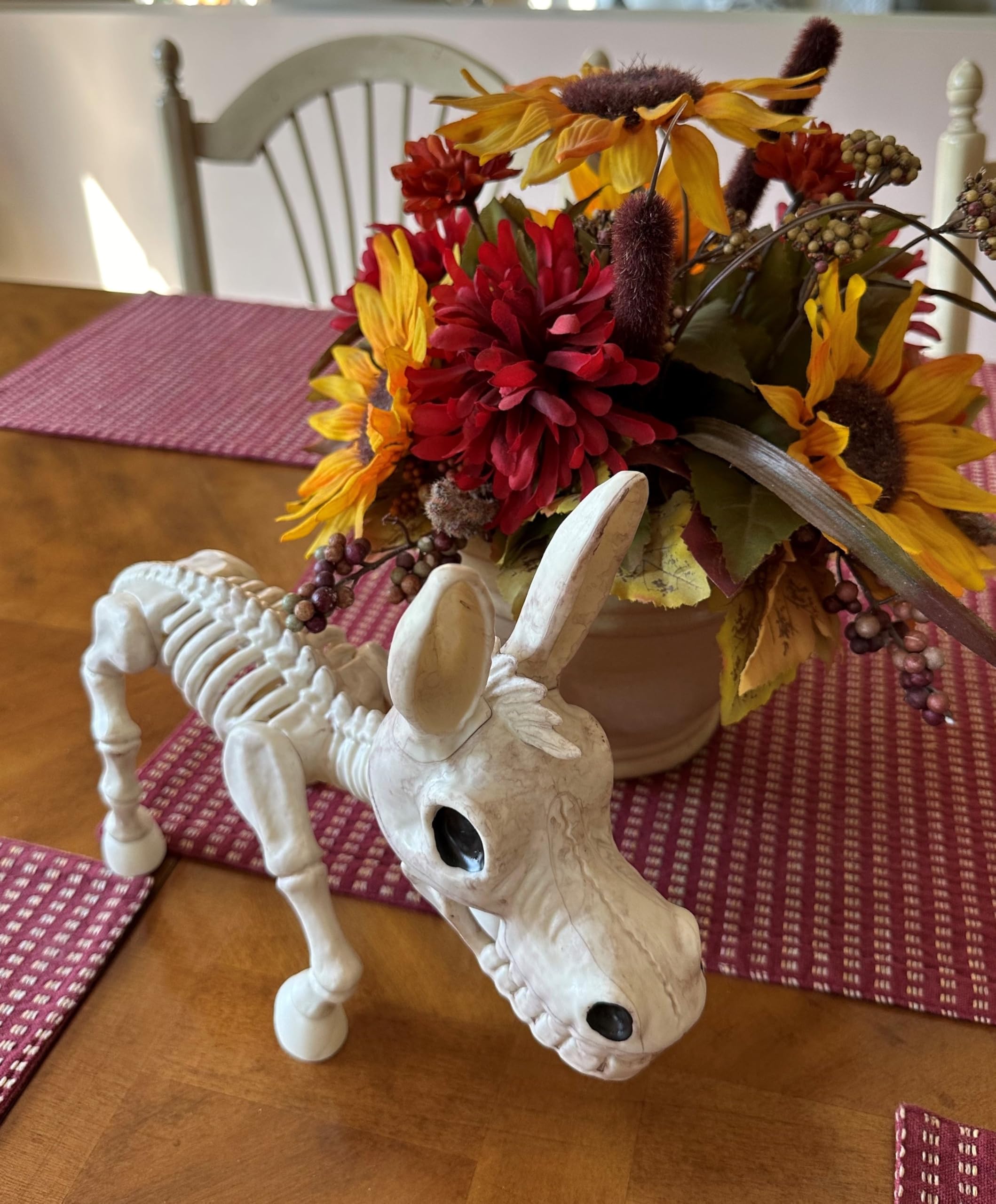 Amazon.com: Crazy Bonez Skeleton Donkey – 9.5
