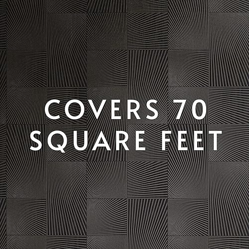 Miniatura 6 de Roman Products PRO-838 - Adhesivo de papel tapiz resistente, grado comercial para colgantes de pared pesados, transparente, PRO-838 (32 onzas - 70